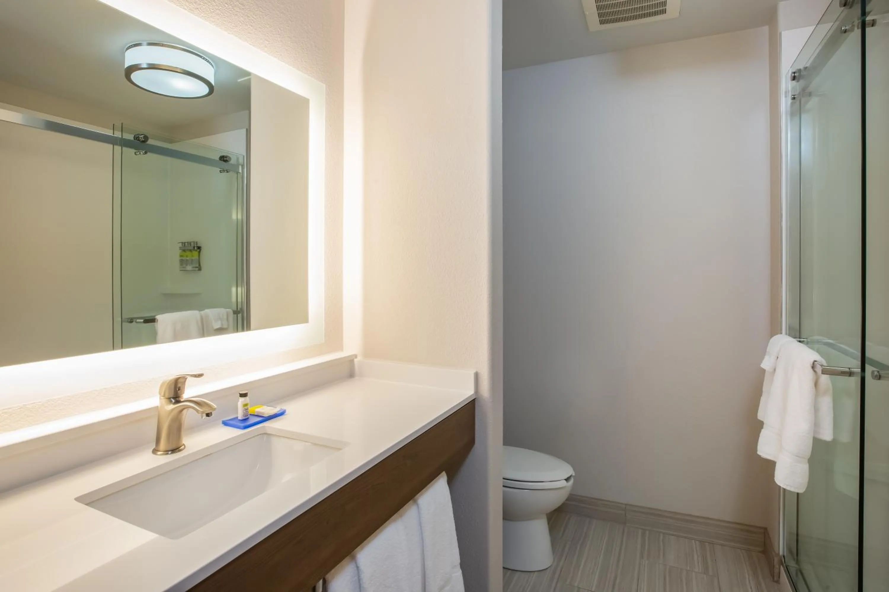 Bathroom in Holiday Inn Express & Suites Atlanta Southwest-Fairburn