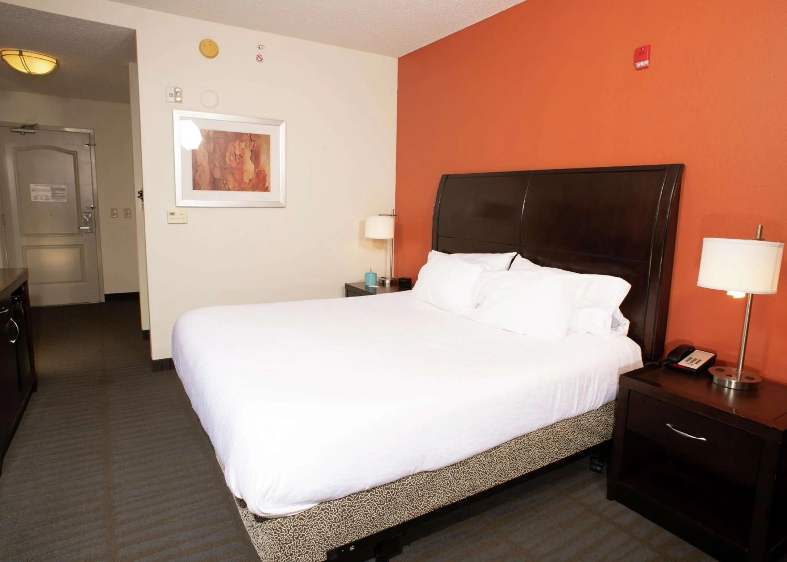 Photo of the whole room, Bed in Hilton Garden Inn Springfield, IL