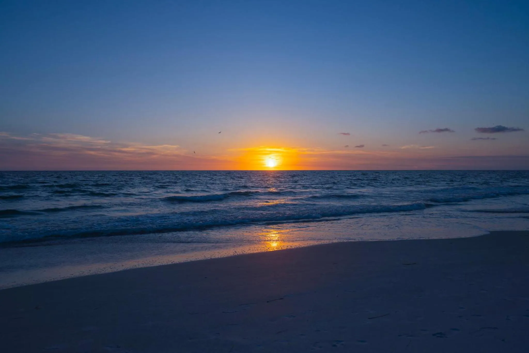 Area and facilities in Holiday Inn & Suites Clearwater Beach S-Harbourside
