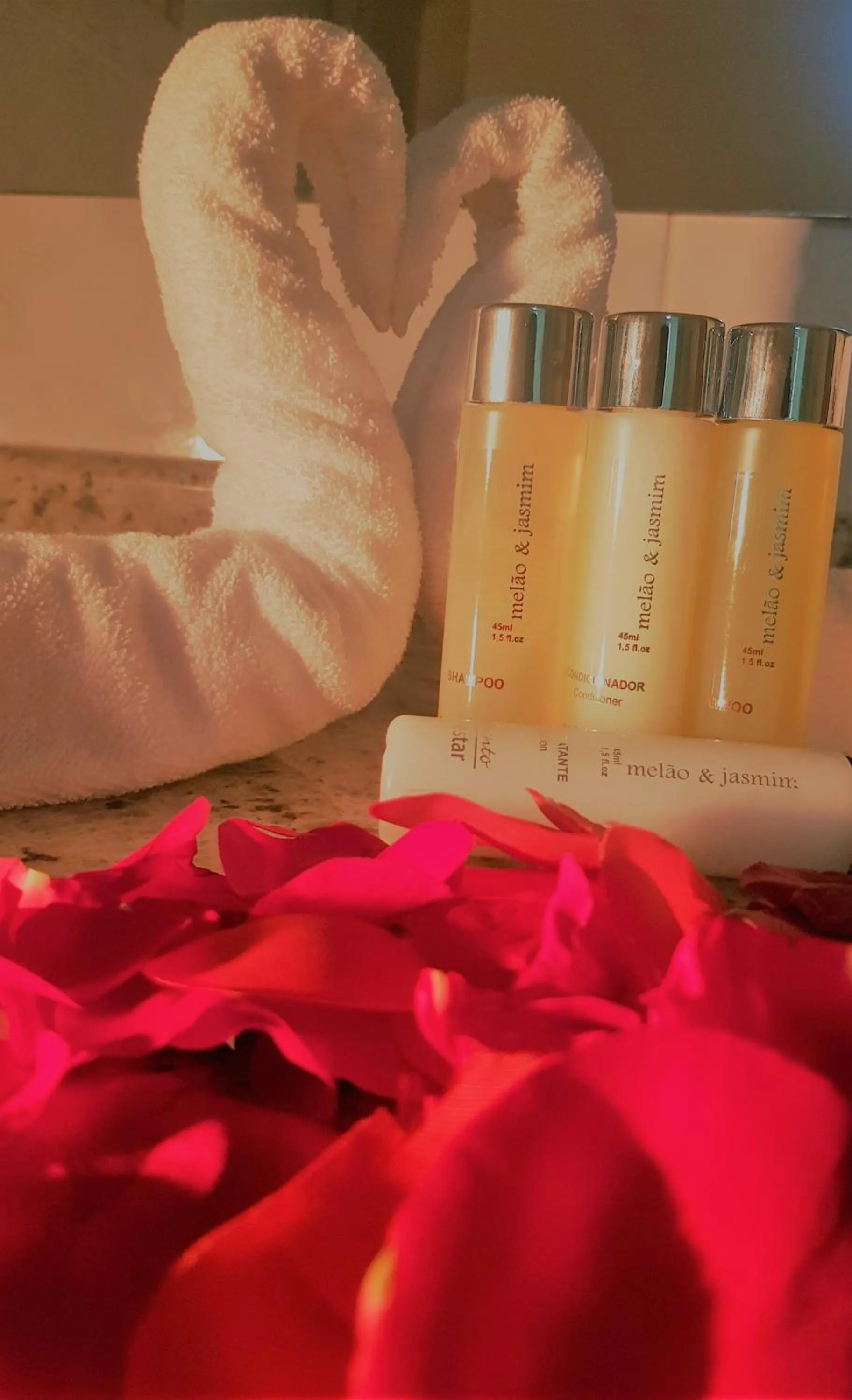 Hotel Cristal Rio Claro