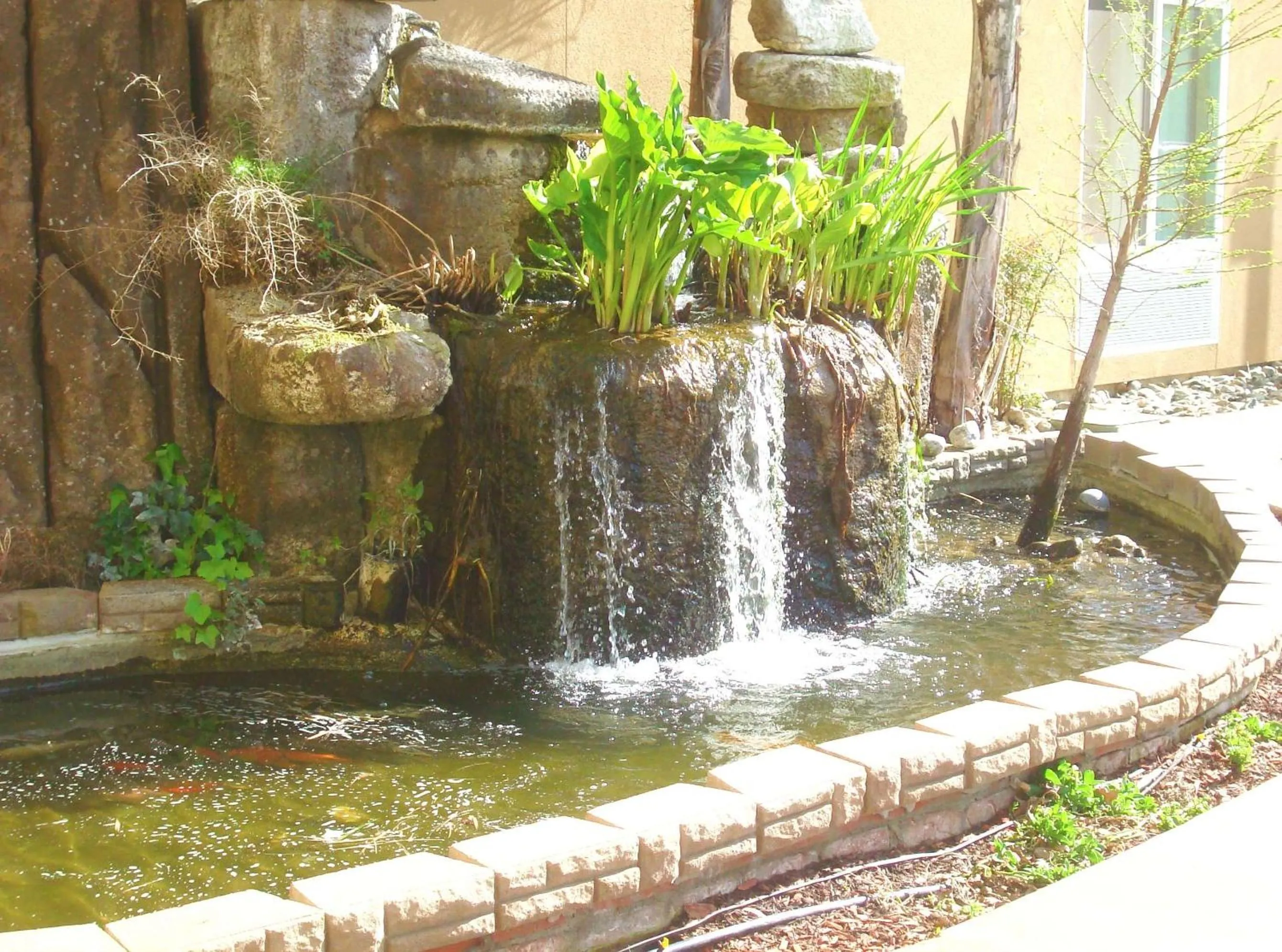 Garden in Hampton Inn & Suites Red Bluff