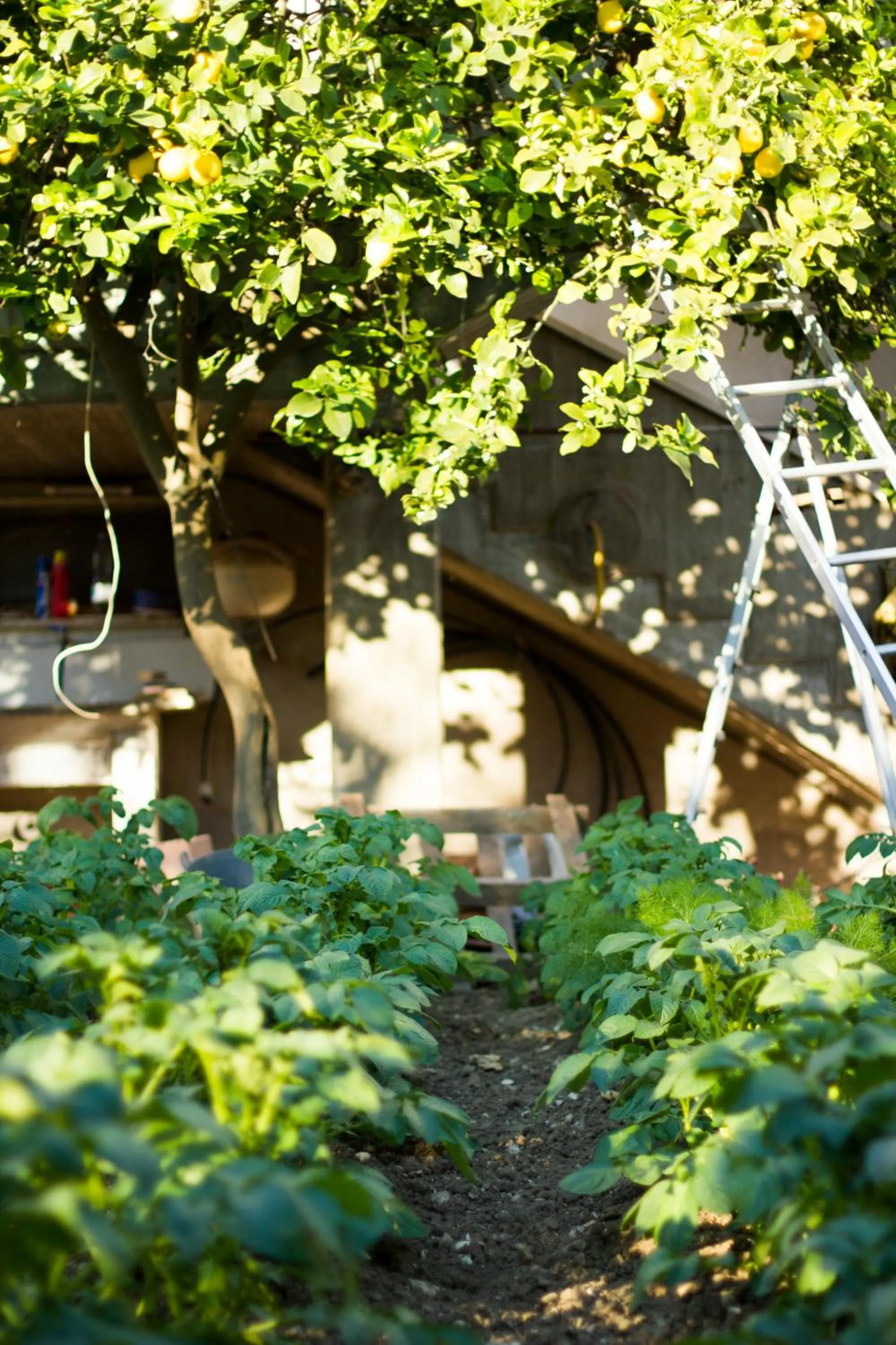 BBQ facilities in Arcobaleno B&B