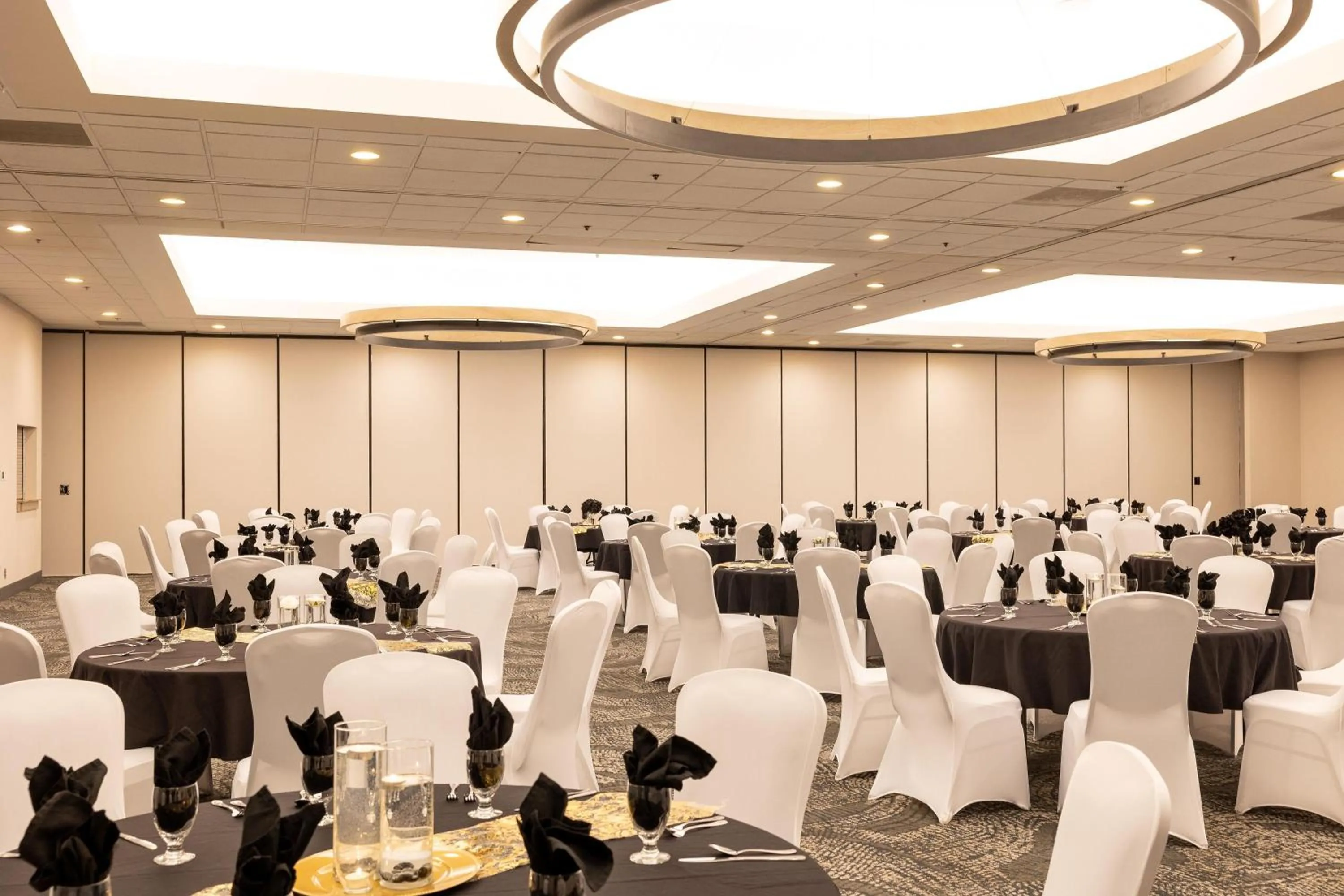 Meeting/conference room in DoubleTree by Hilton Austin, MN