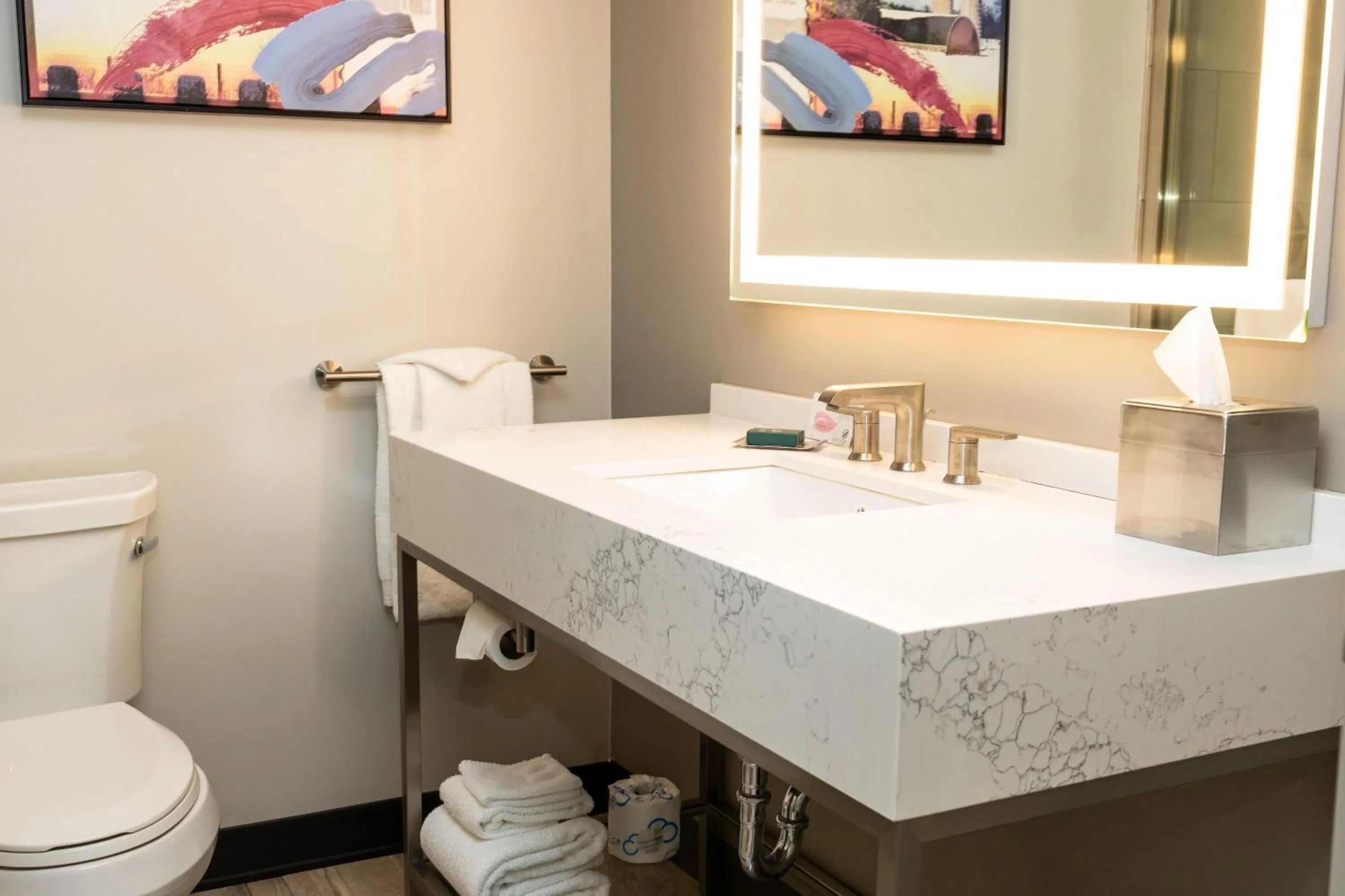 Bathroom in DoubleTree by Hilton Austin, MN