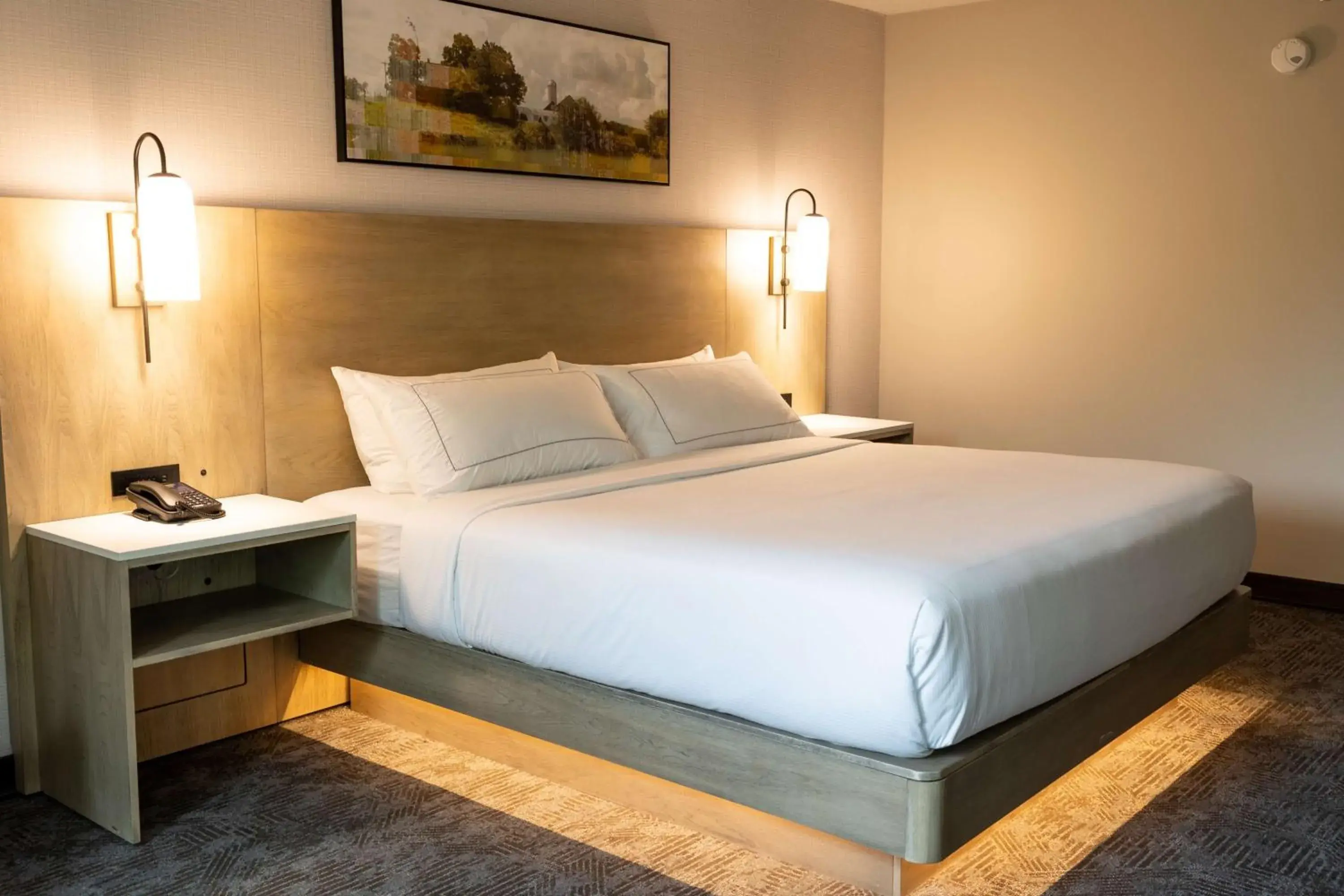 Bed in Holiday Inn Austin Conference Center, an IHG Hotel Bed in Holiday Inn Austin Conference Center, an IHG Hotel