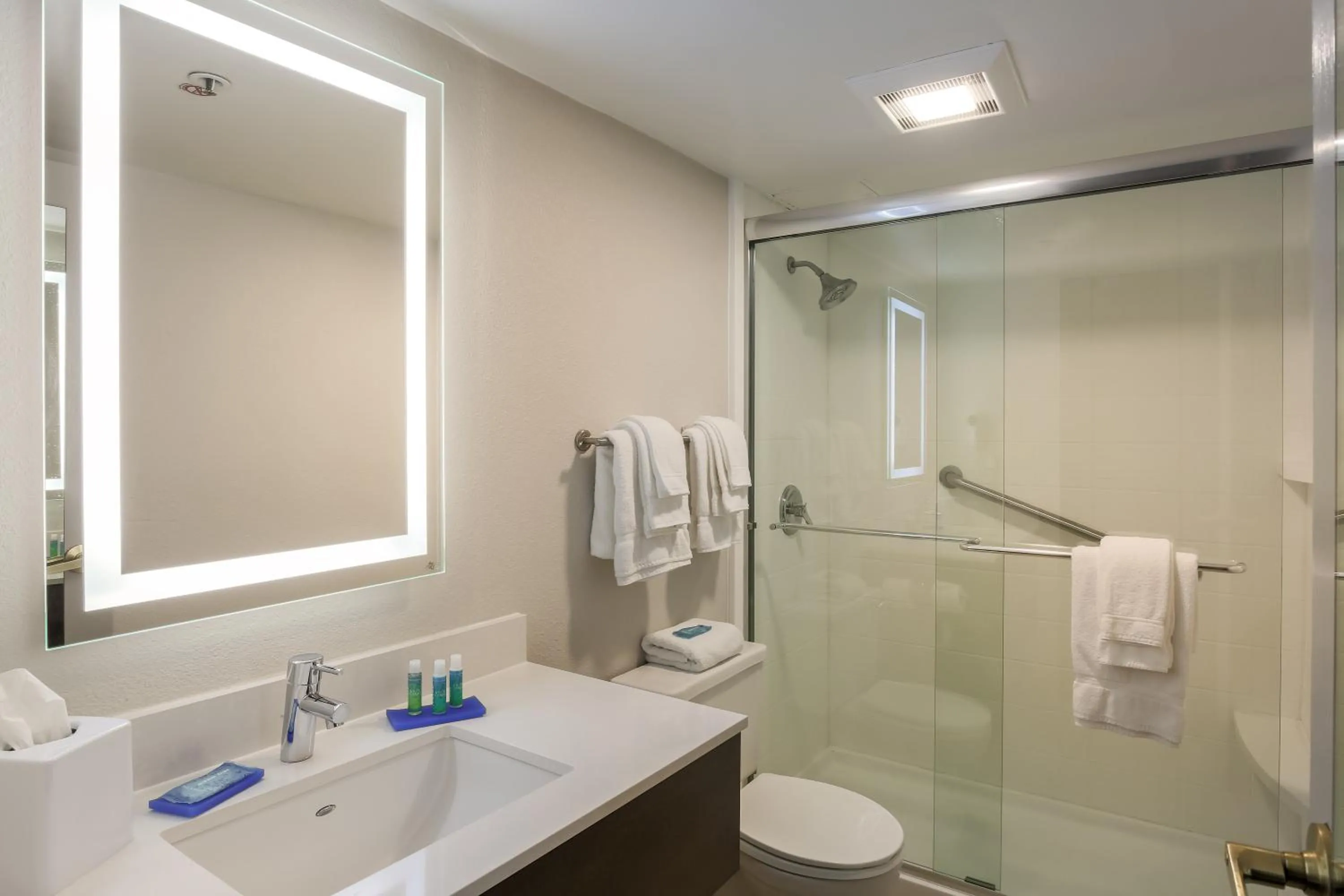 Bathroom in Holiday Inn Express Milwaukee - West Medical Center by IHG