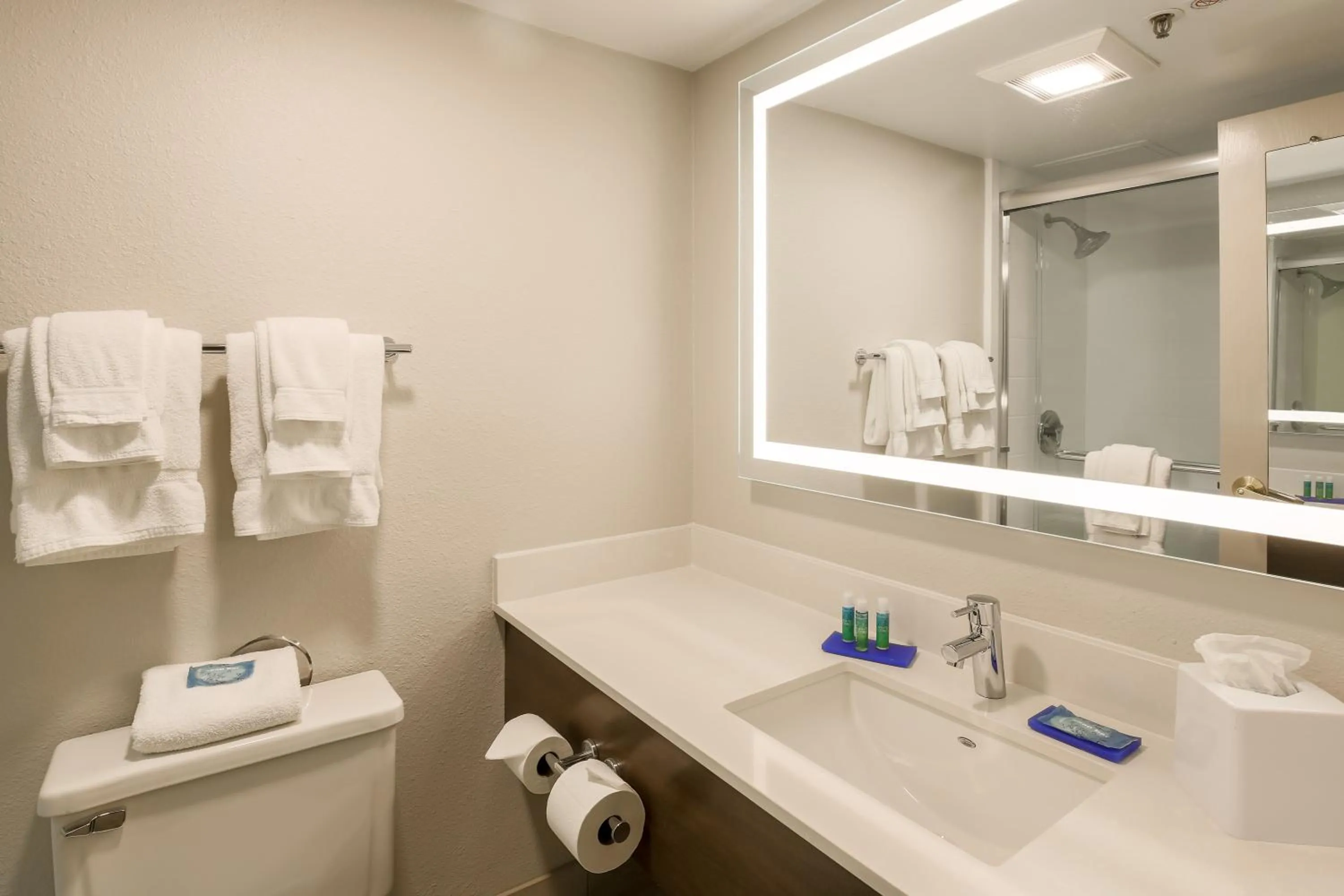 Bathroom in Holiday Inn Express Milwaukee - West Medical Center by IHG
