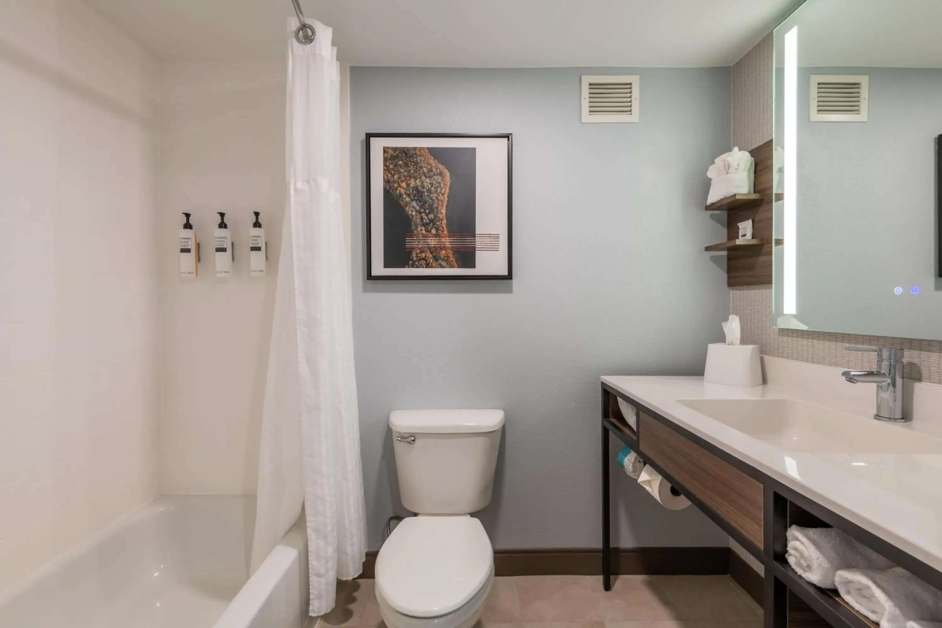 Bathroom in Hilton Garden Inn Auburn Riverwatch Bathroom in Hilton Garden Inn Auburn Riverwatch