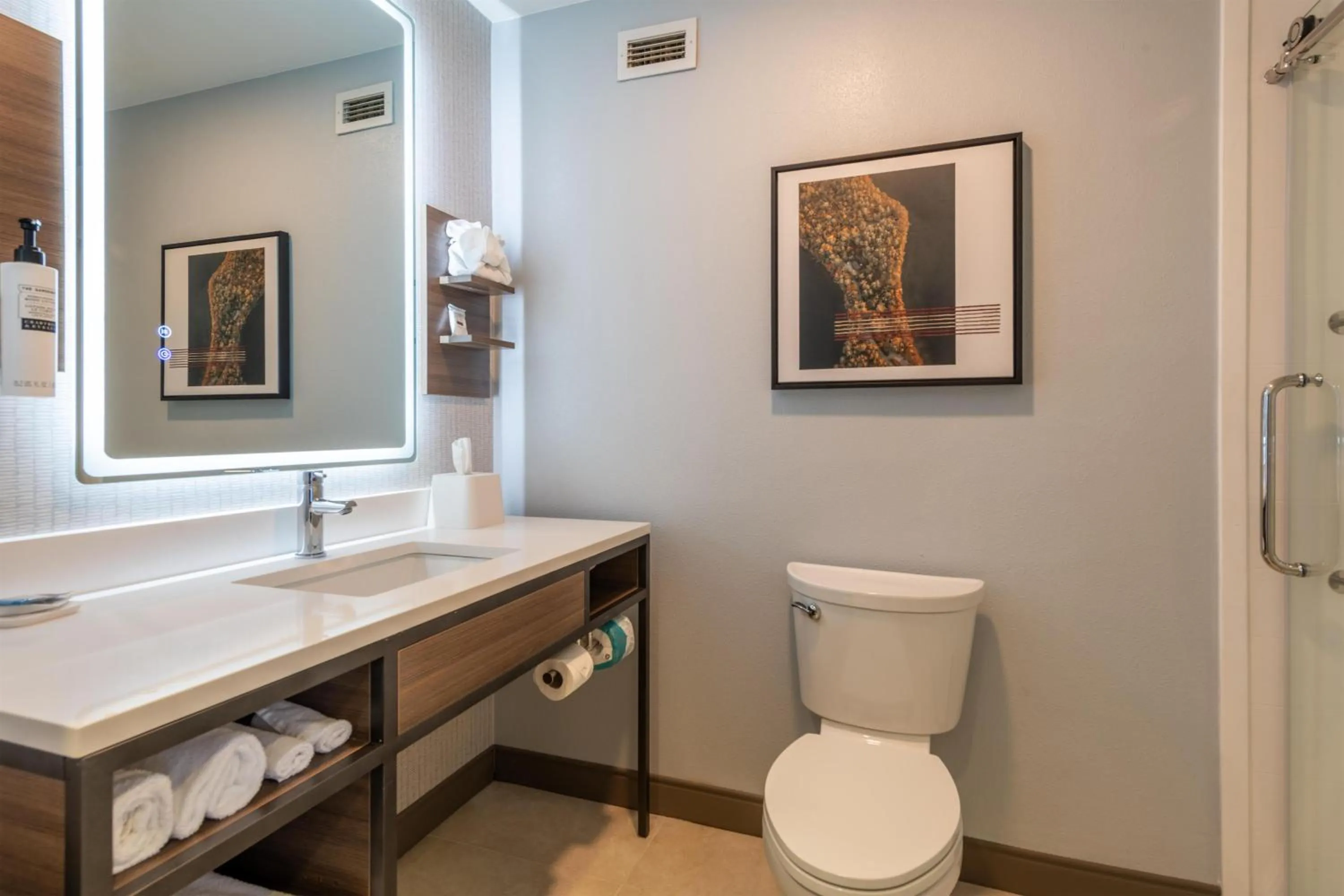 Bathroom in Hilton Garden Inn Auburn Riverwatch