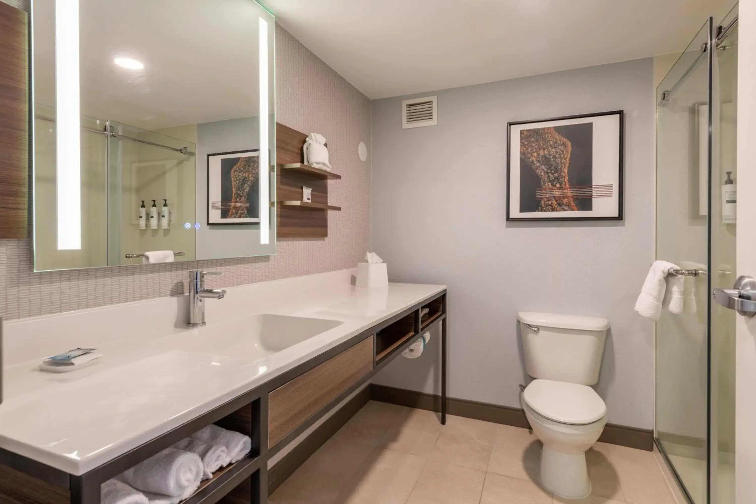 Bathroom in Hilton Garden Inn Auburn Riverwatch Bathroom in Hilton Garden Inn Auburn Riverwatch