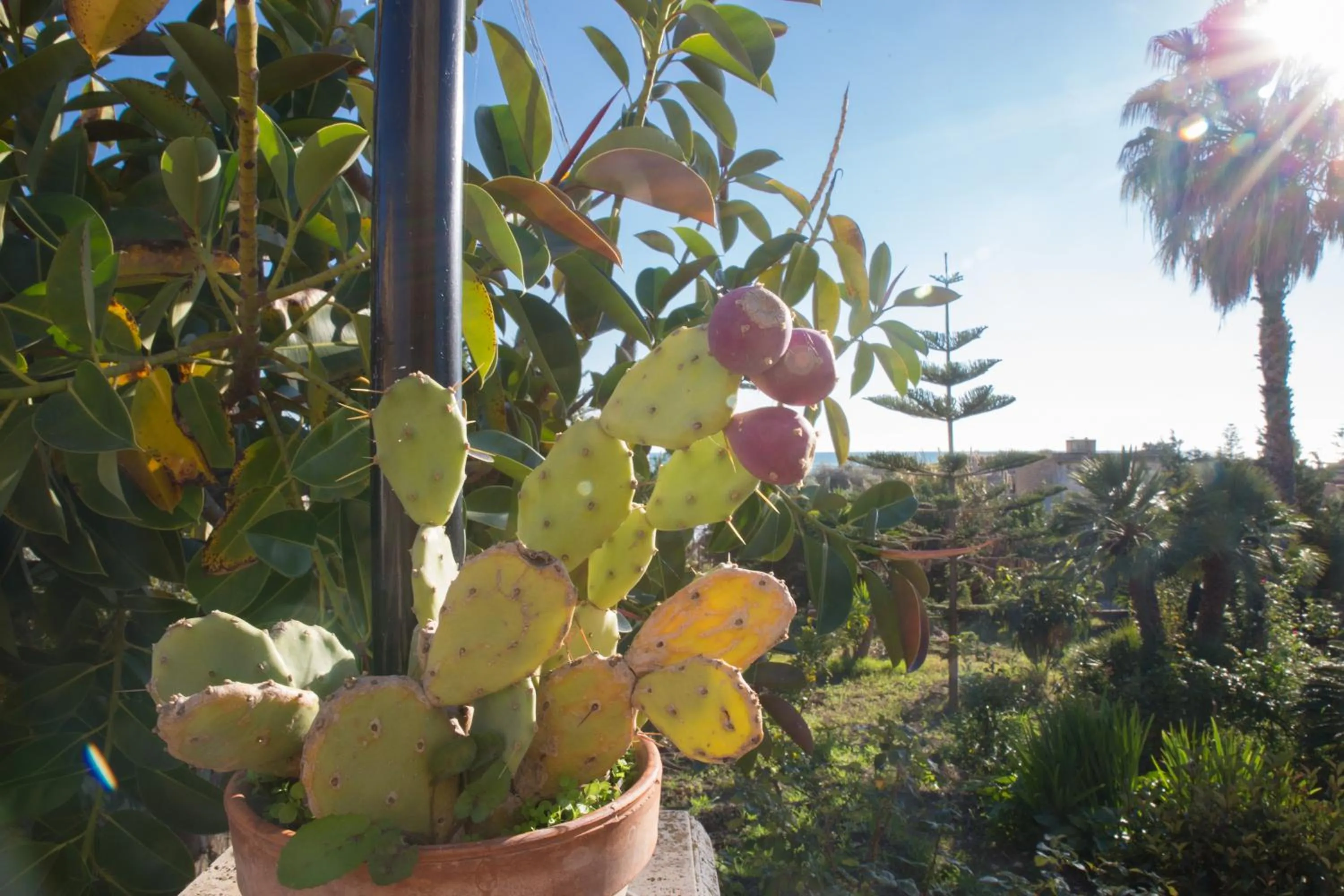 Garden in B&B La Veranda