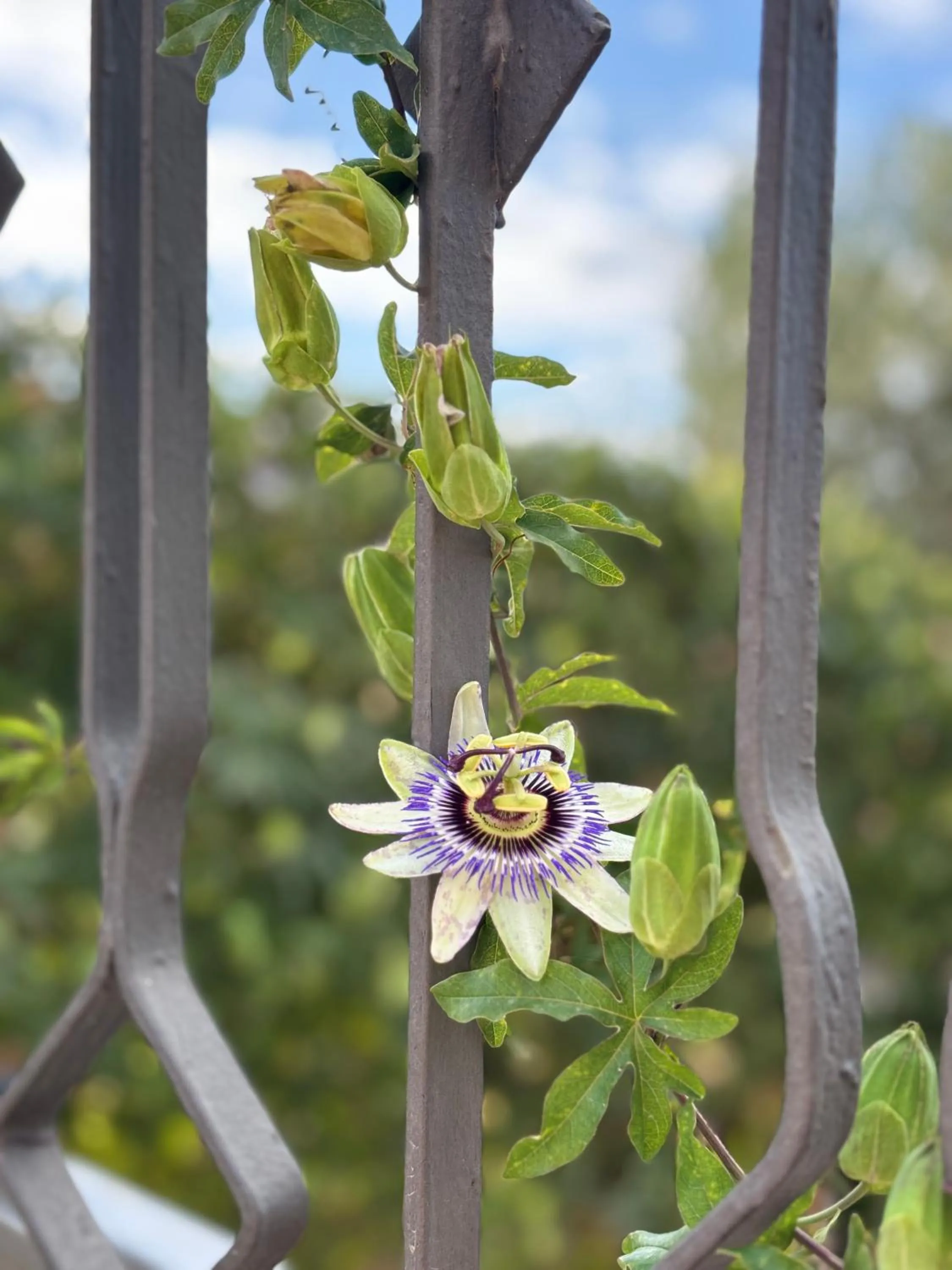 Property building in B&B La Veranda