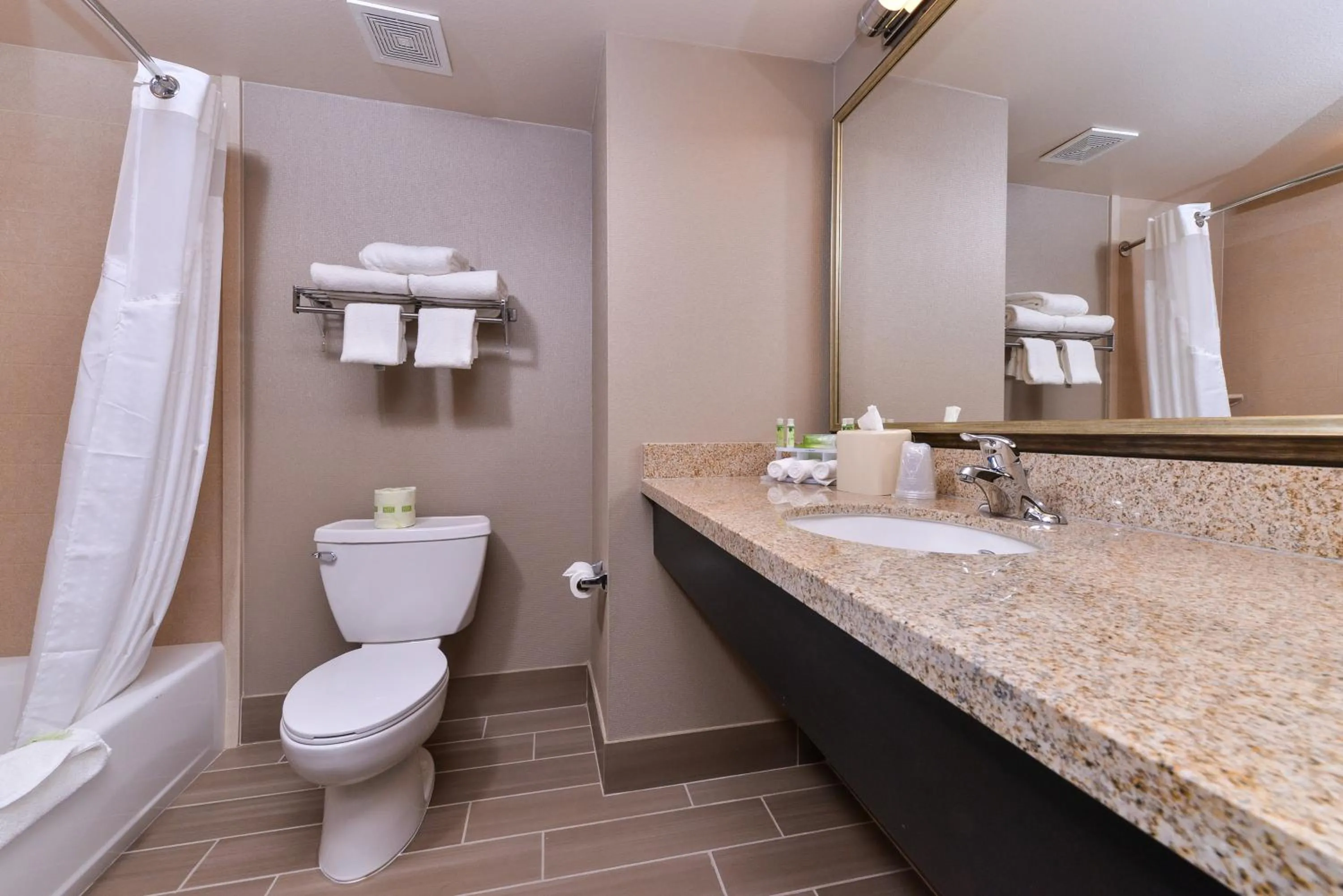 Bathroom in Holiday Inn Express & Suites Indio - Coachella Valley by IHG