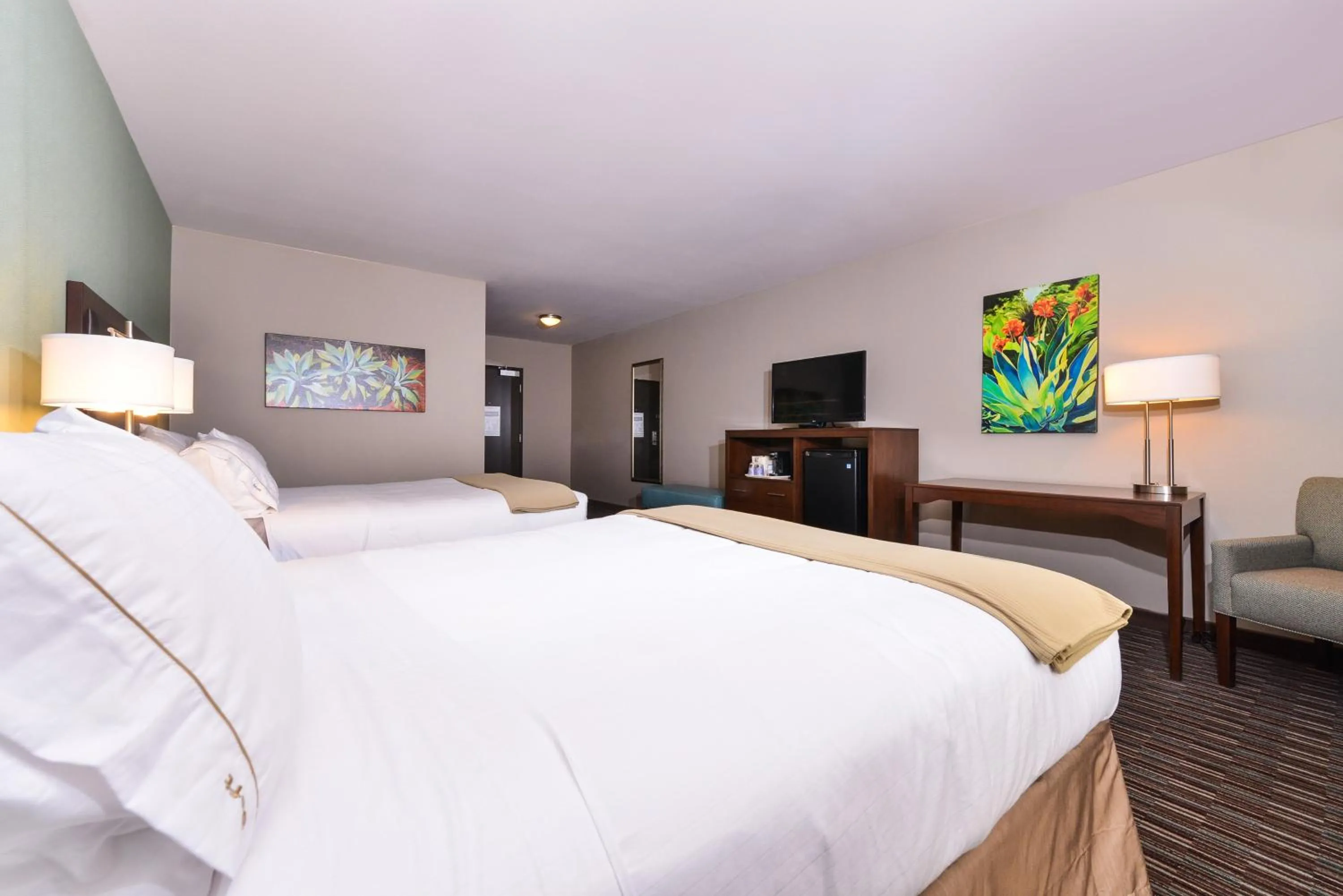 Photo of the whole room, Bed in Holiday Inn Express & Suites Indio - Coachella Valley by IHG