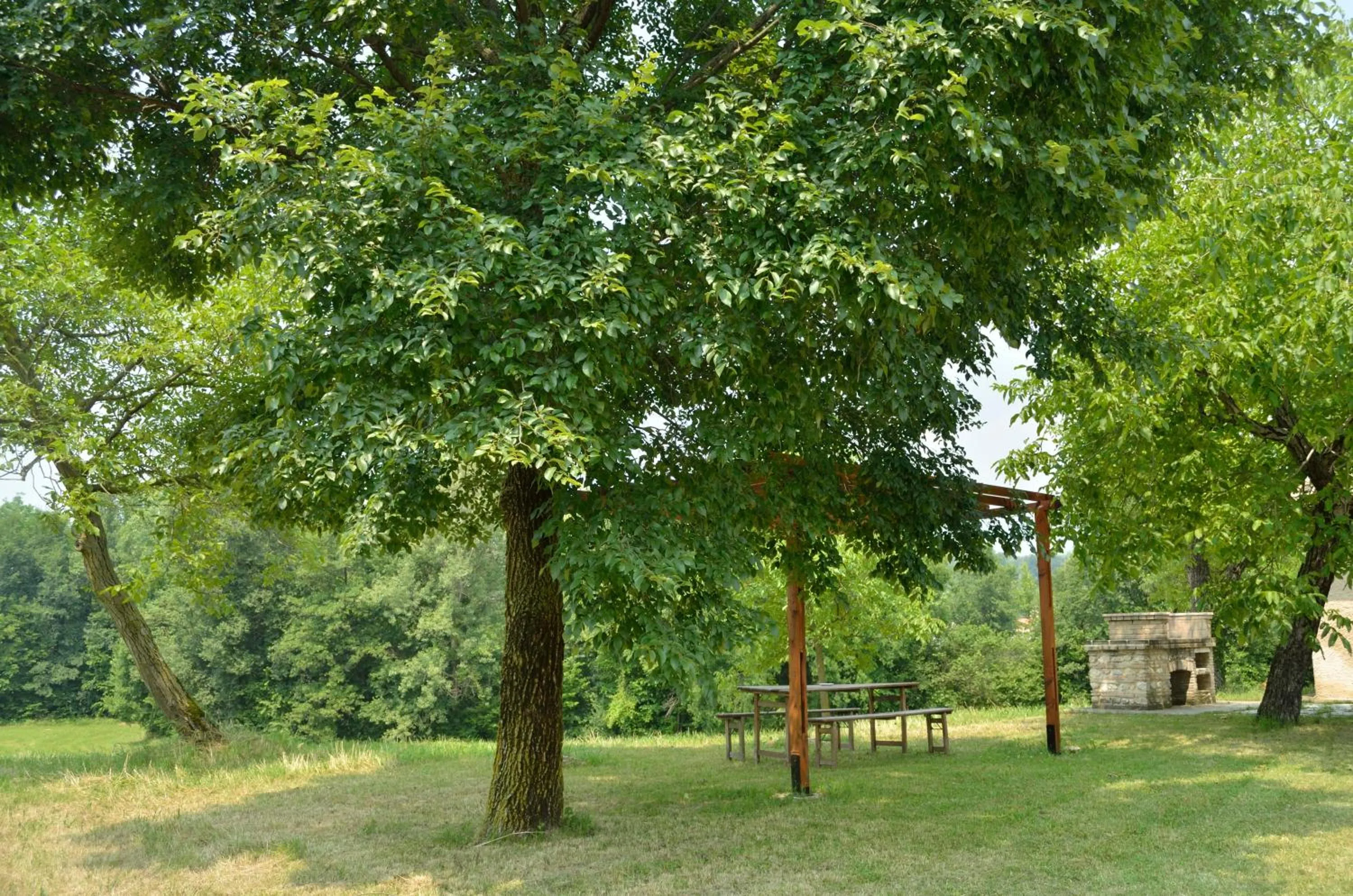 Garden view in agriturismo Cà Roer