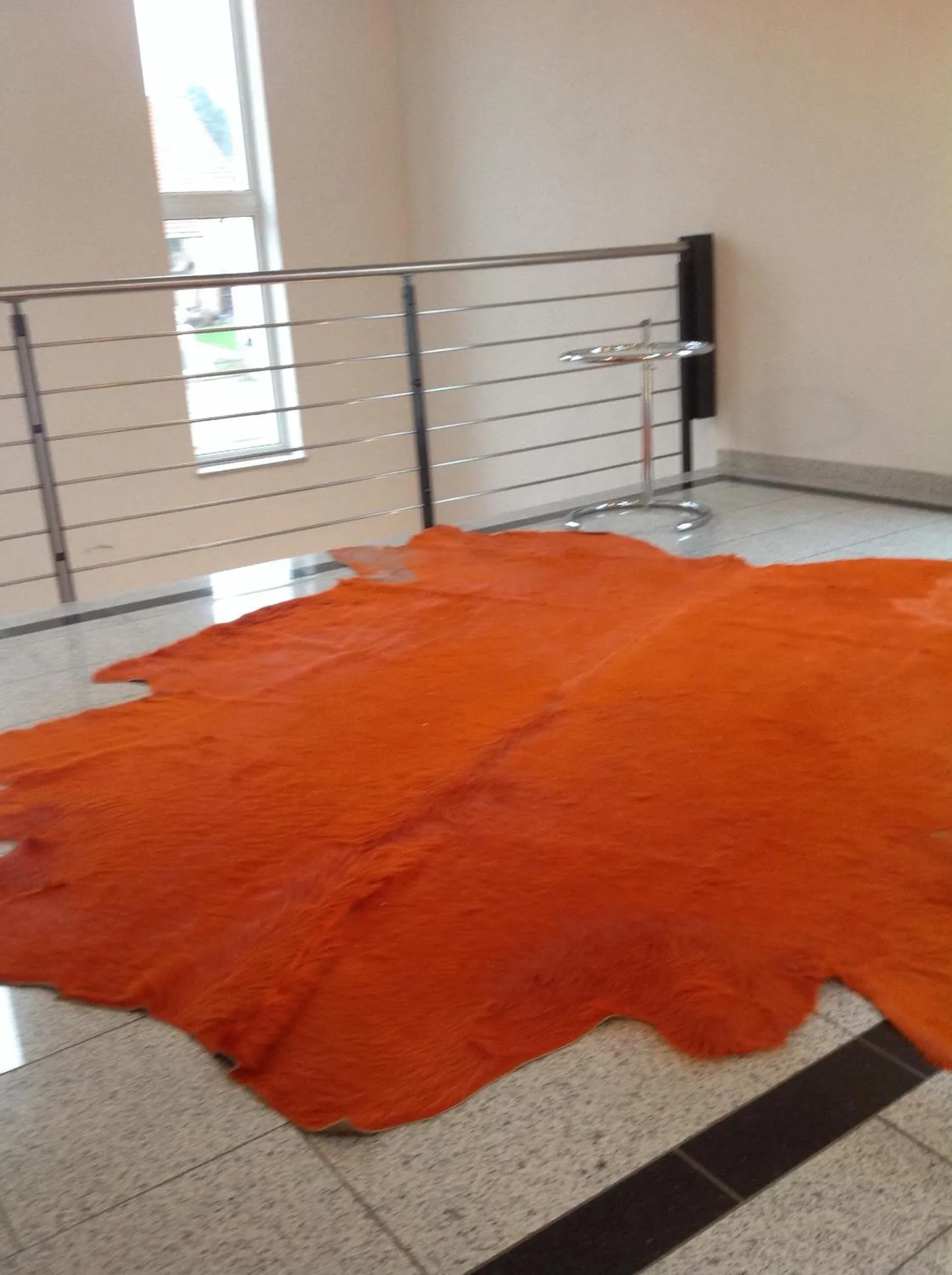 Other in Ressmann`s Residence