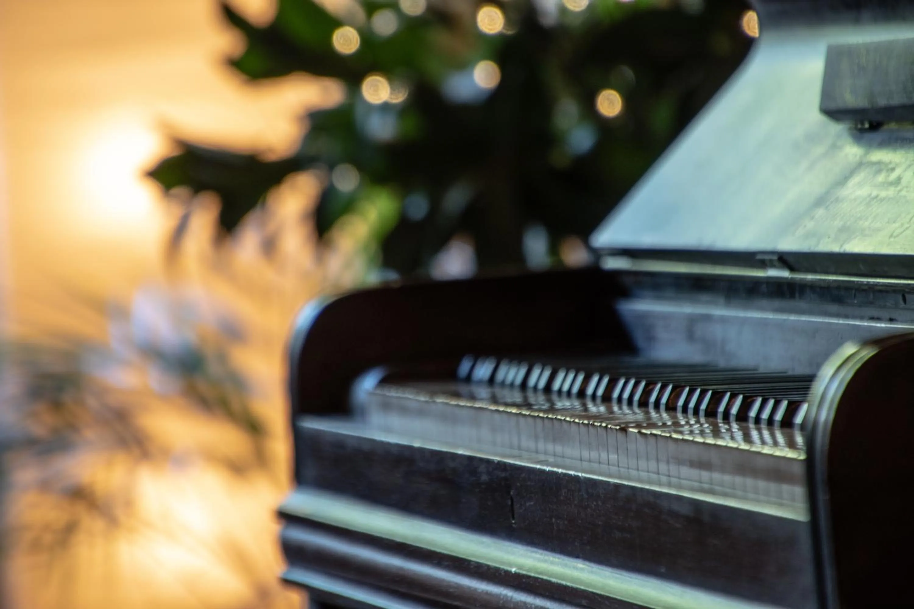 Decorative detail in El Racó de Madremanya - Adults only