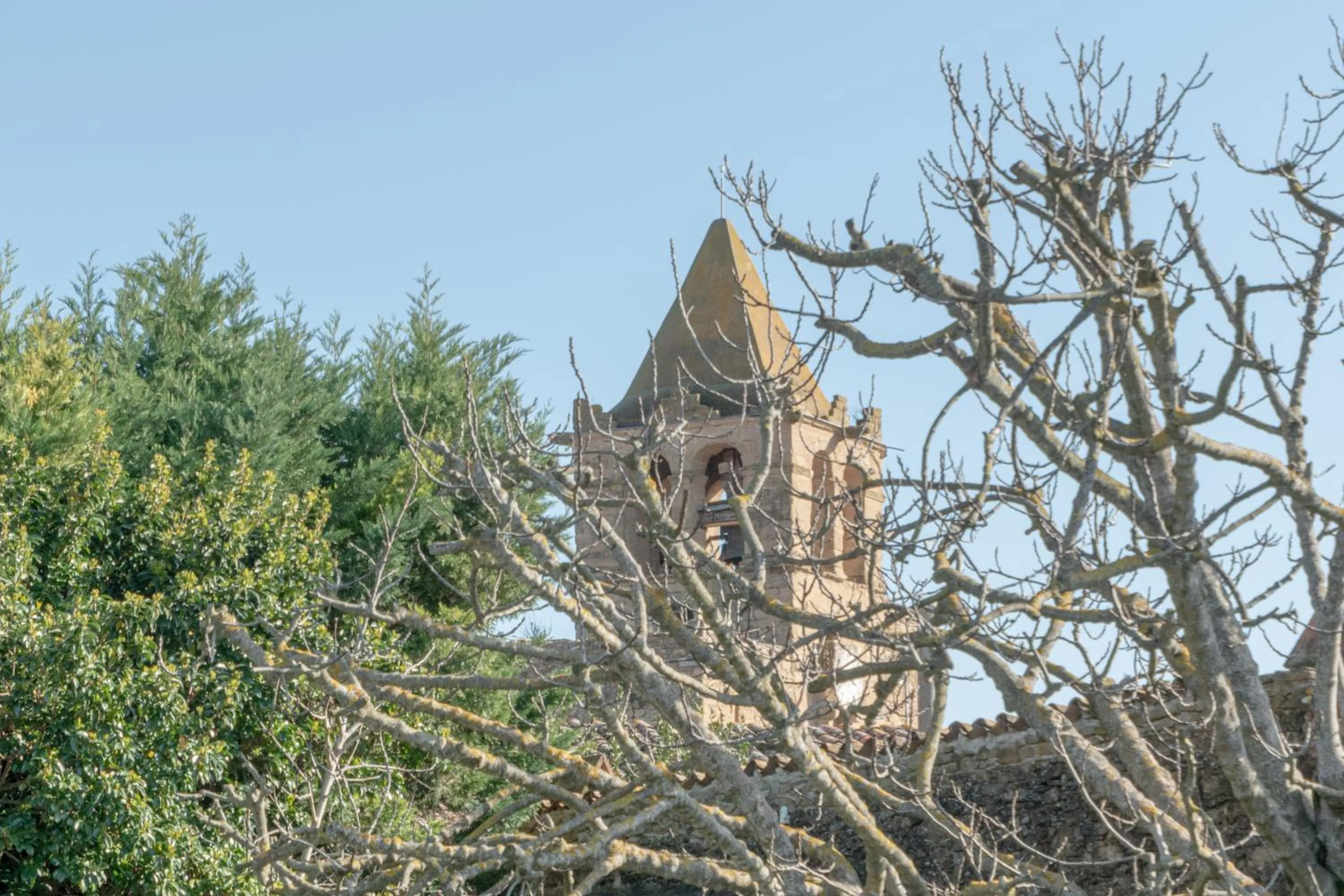 Garden view in El Racó de Madremanya - Adults only