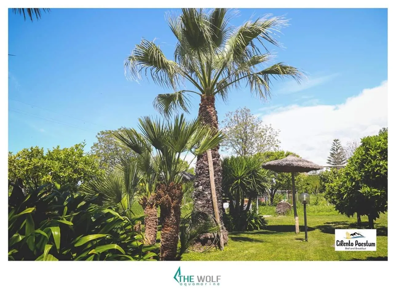 Garden in B&b Cilento Paestum