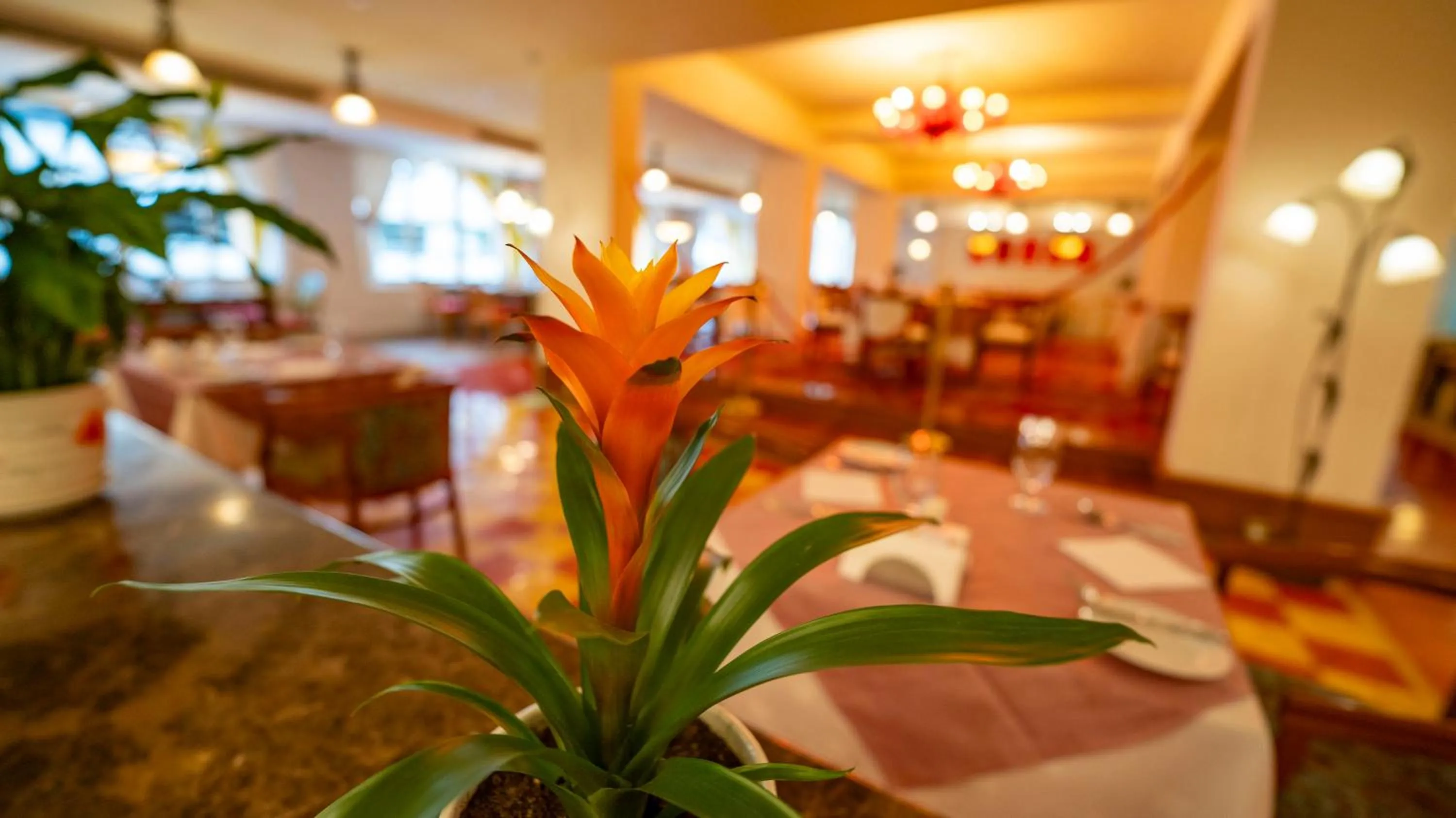 Restaurant/places to eat in Riviera Hotel