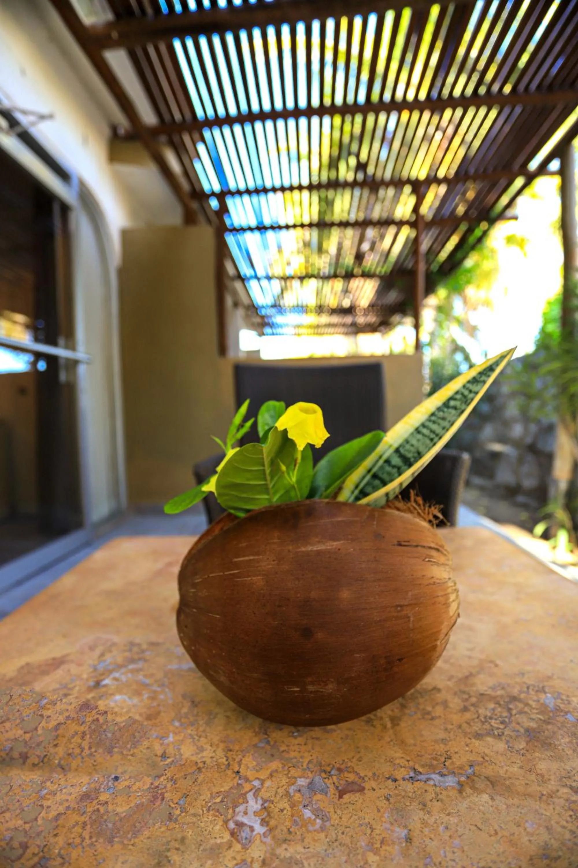 Balcony/Terrace in Buena Vista Oceanfront & Hot Springs Resort
