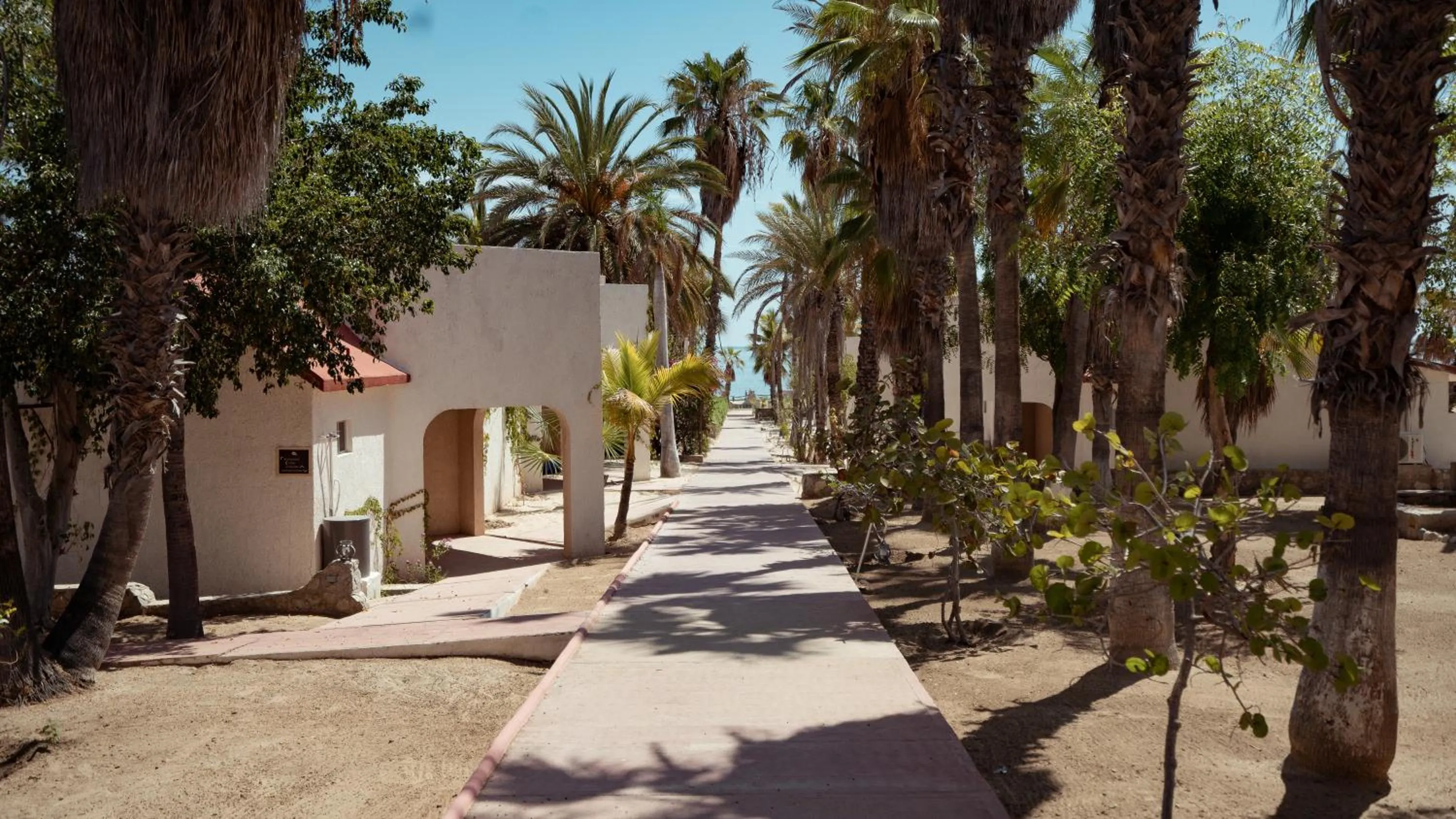 Natural landscape in Buena Vista Oceanfront & Hot Springs Resort