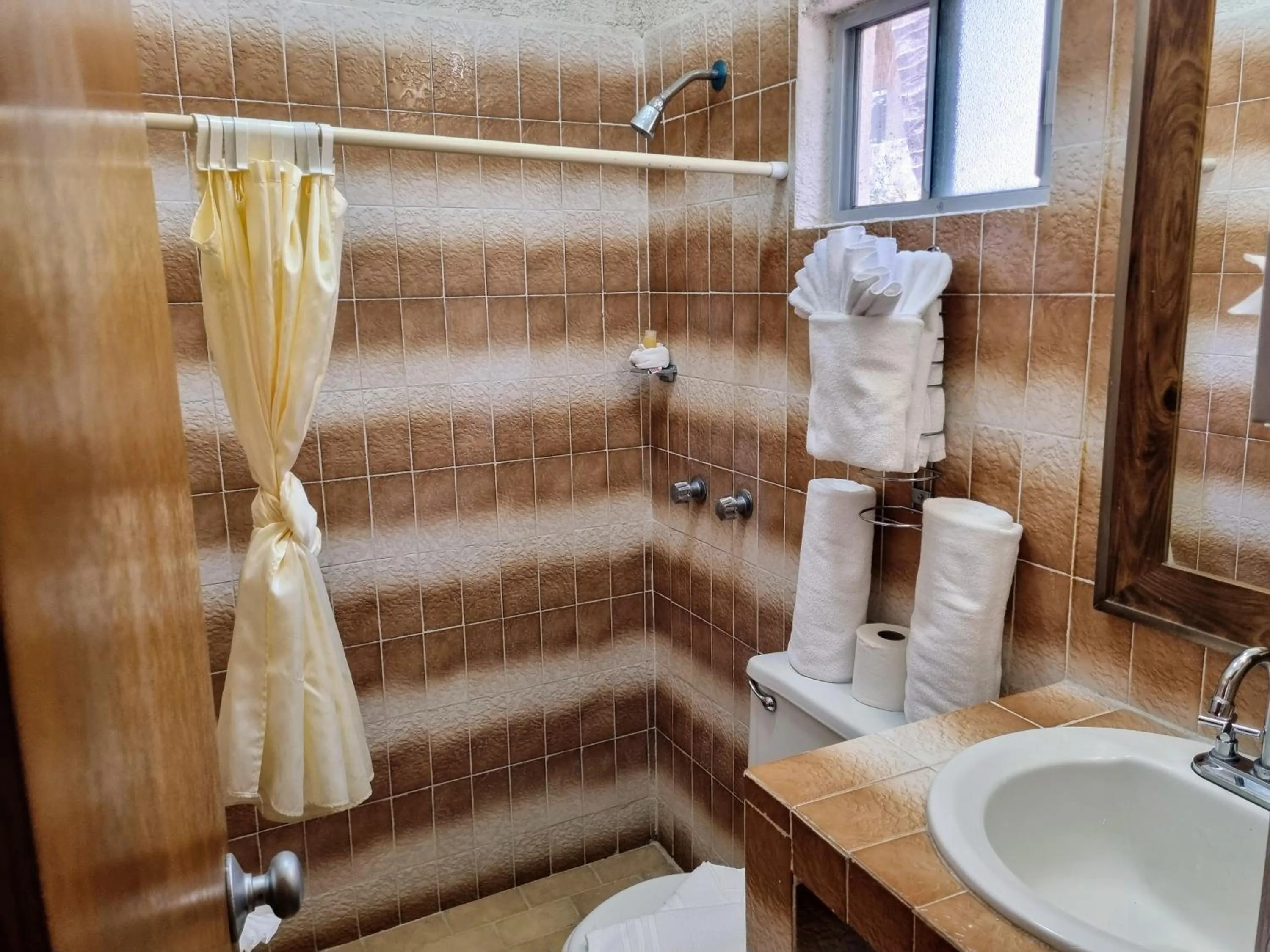 Bathroom in Buena Vista Oceanfront & Hot Springs Resort