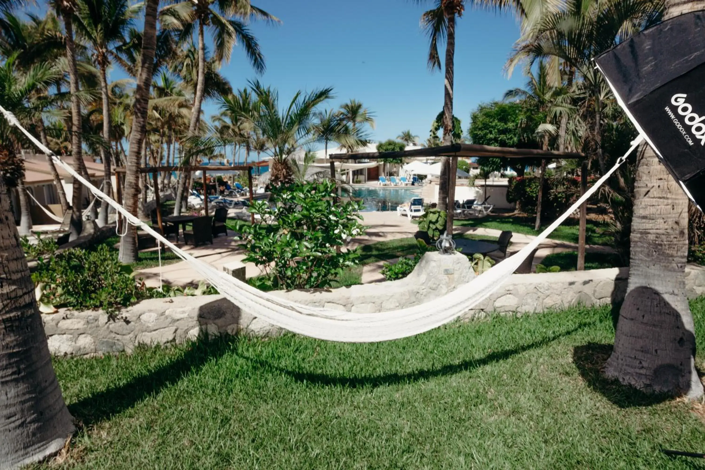 Garden view in Buena Vista Oceanfront & Hot Springs Resort Garden view in Buena Vista Oceanfront & Hot Springs Resort