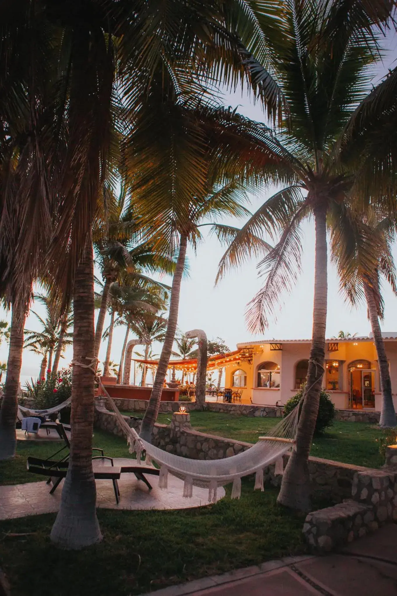 View (from property/room) in Buena Vista Oceanfront & Hot Springs Resort View (from property/room) in Buena Vista Oceanfront & Hot Springs Resort