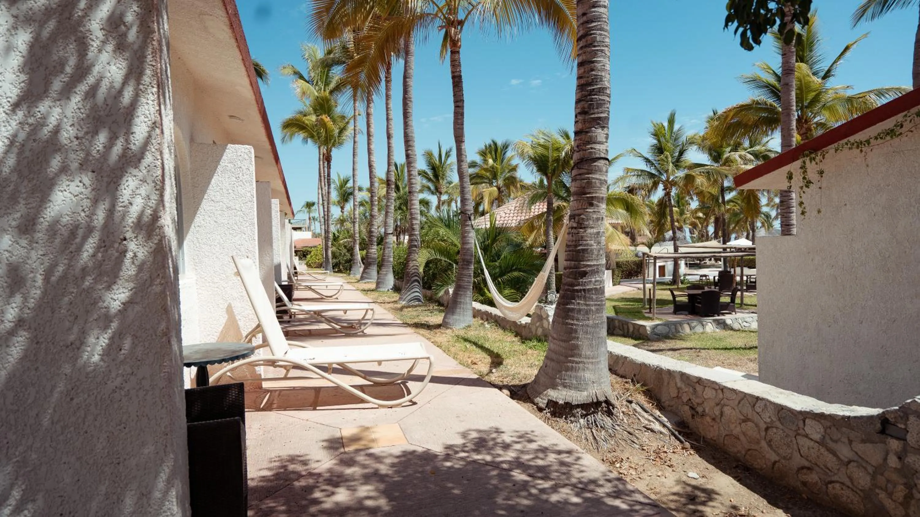 Garden view in Buena Vista Oceanfront & Hot Springs Resort