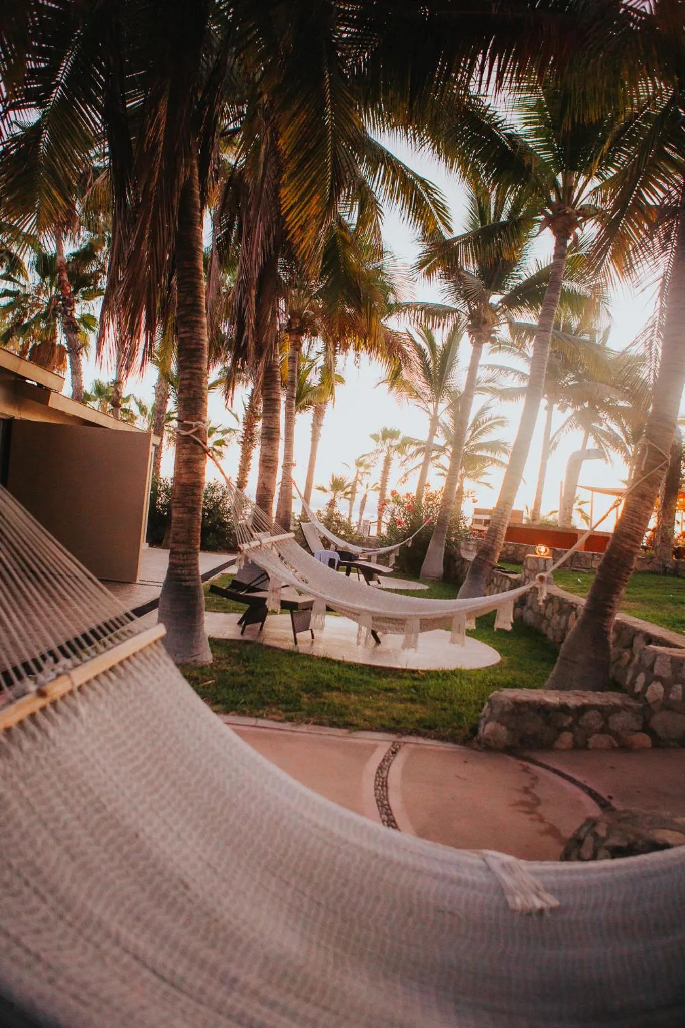 Sea view in Buena Vista Oceanfront & Hot Springs Resort