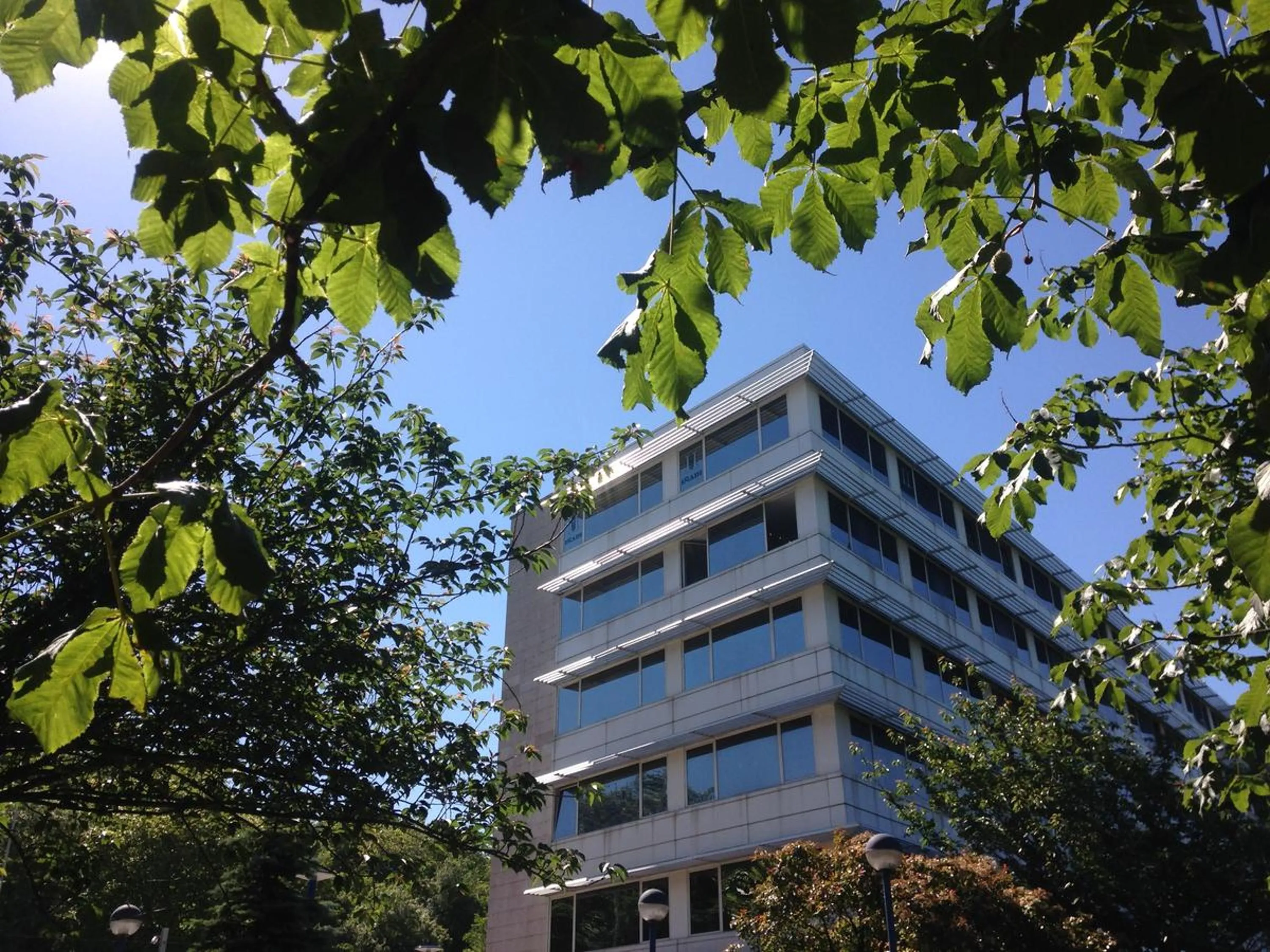 Facade/entrance in Pensión Riberas del Urumea