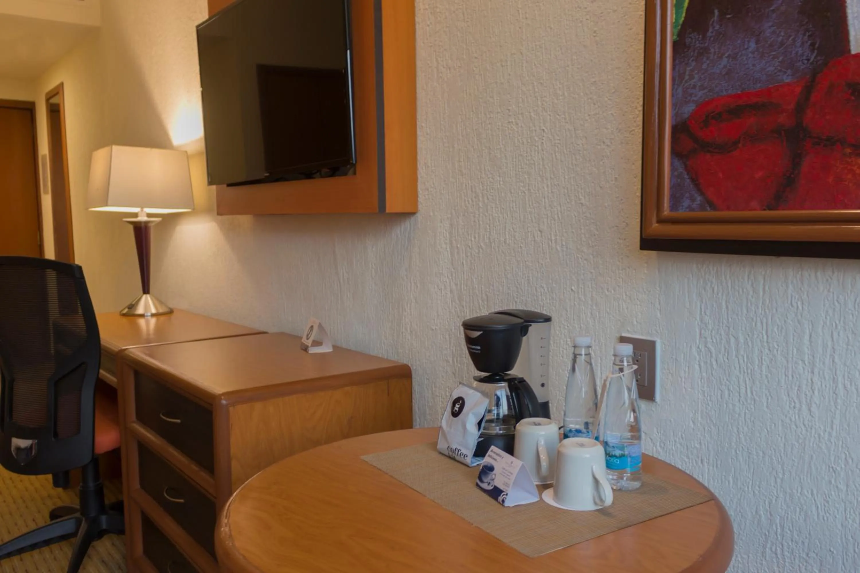 TV and multimedia in Hotel Guadalajara Plaza Expo