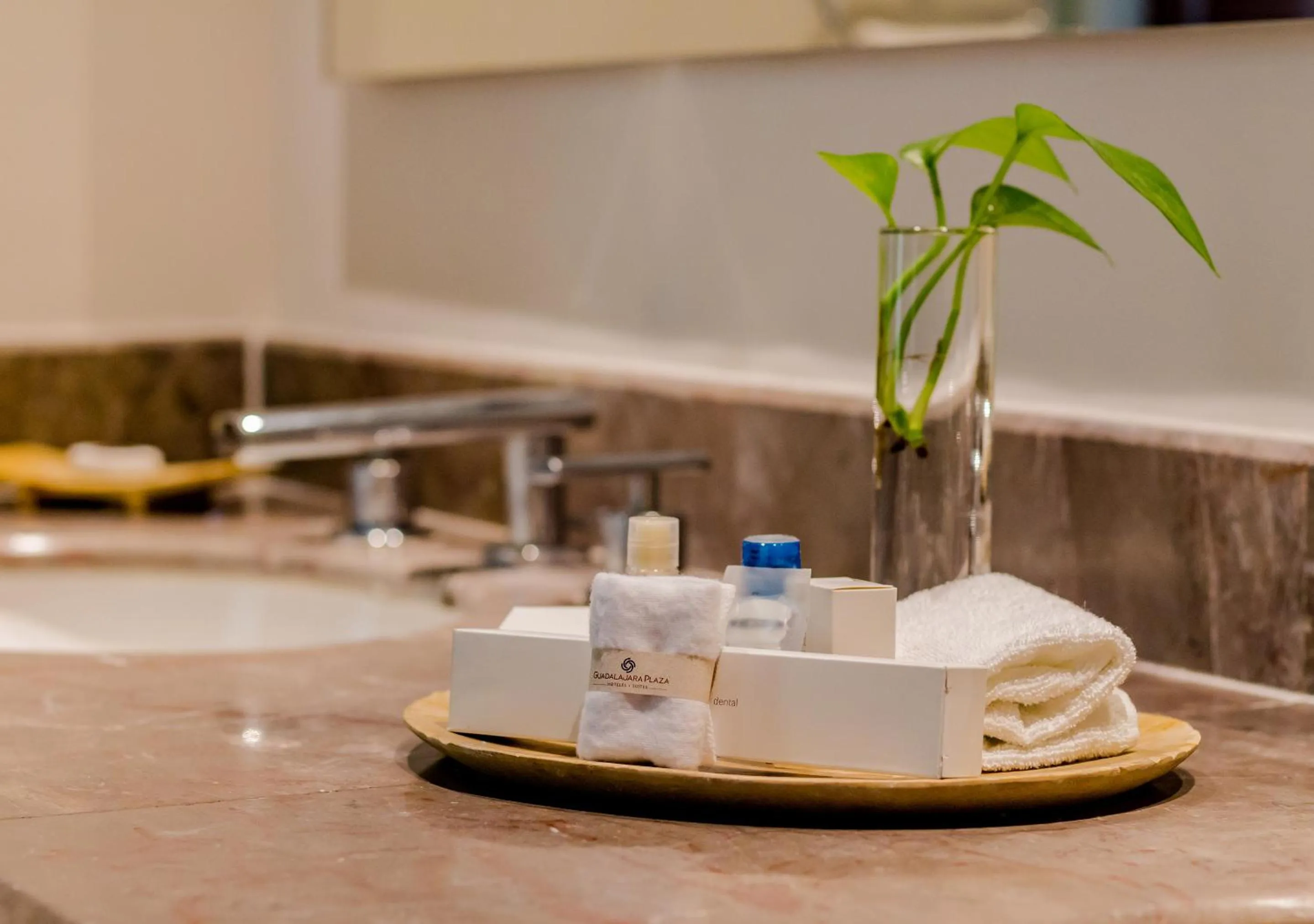 Bathroom in Hotel Guadalajara Plaza Ejecutivo
