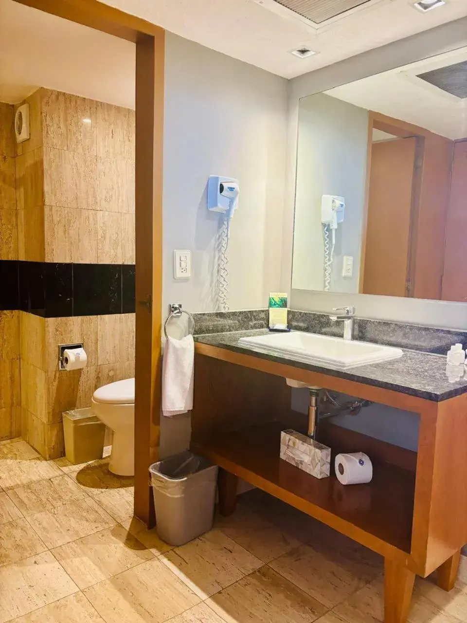 Bathroom in Hotel Guadalajara Plaza Ejecutivo Bathroom in Hotel Guadalajara Plaza Ejecutivo