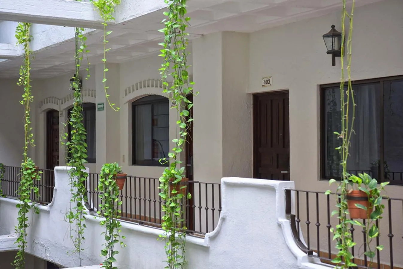 Area and facilities in Hotel Eloisa