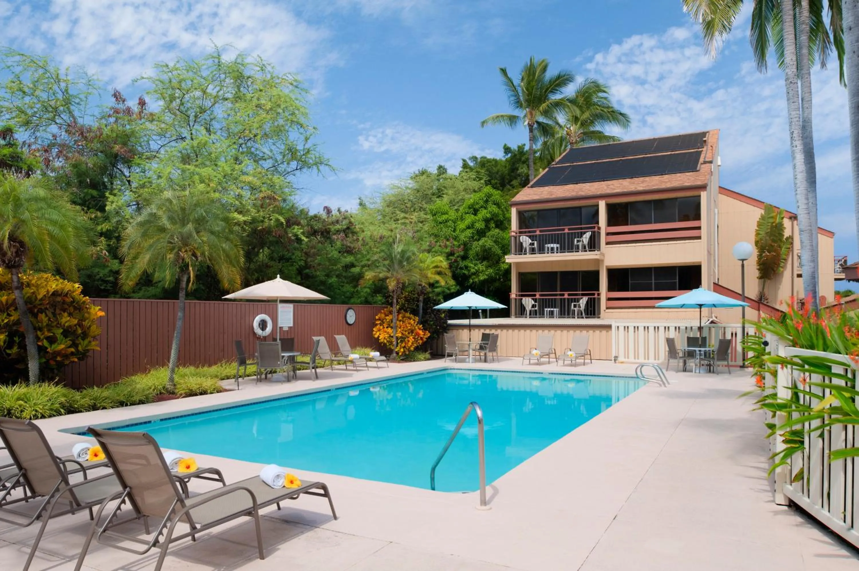 Swimming pool in The Kona Billfisher