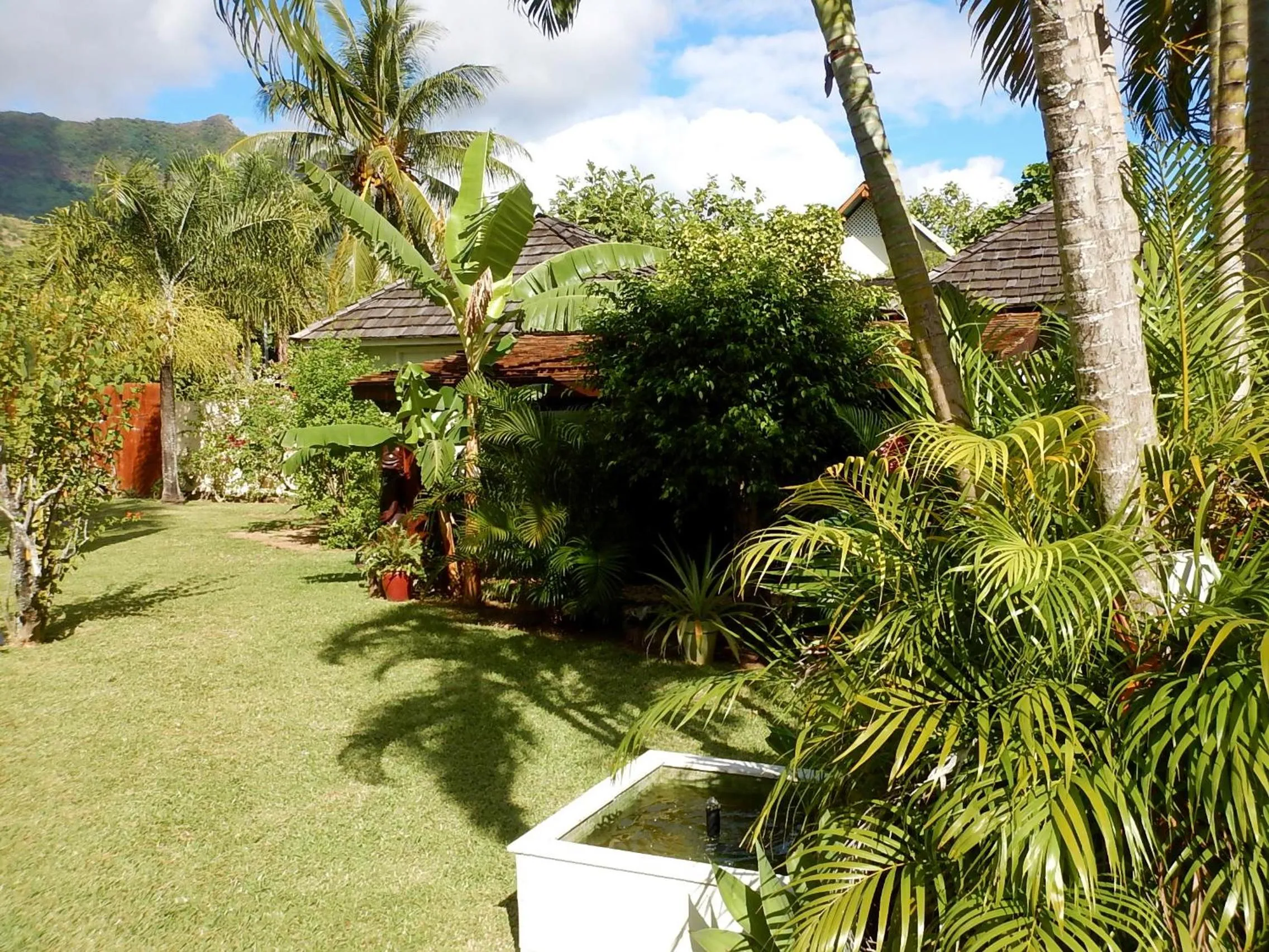 Garden in Poerani Moorea
