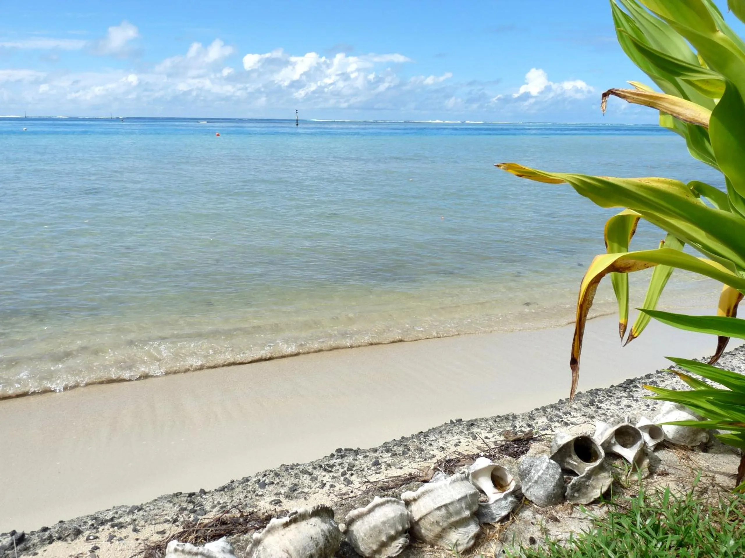 Beach in Poerani Moorea