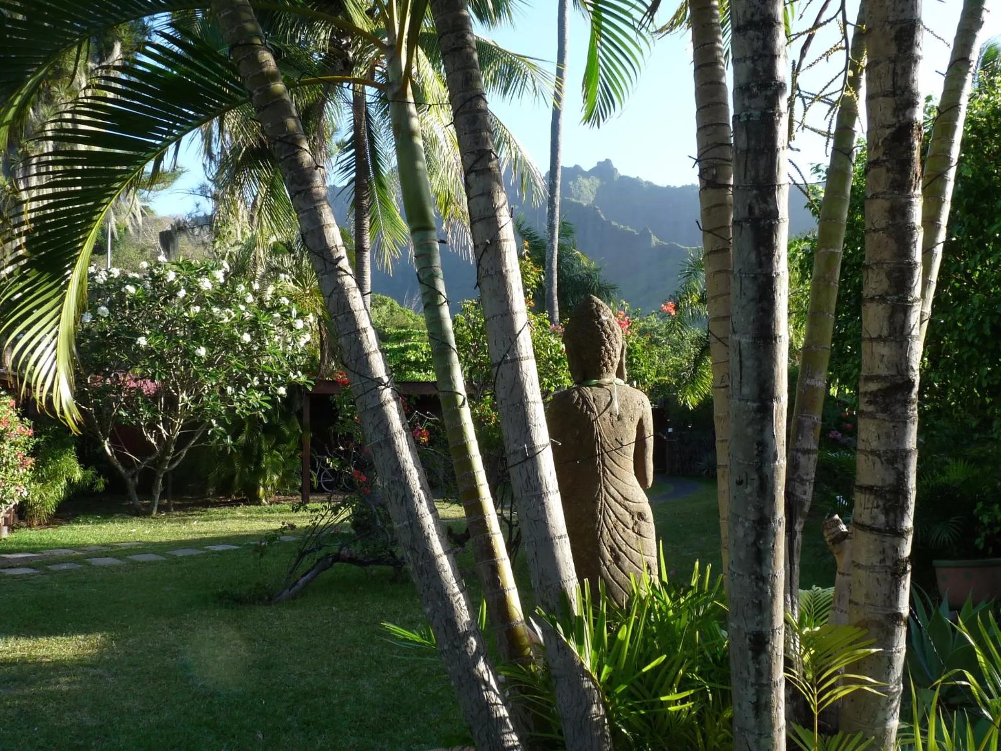 Garden in Poerani Moorea