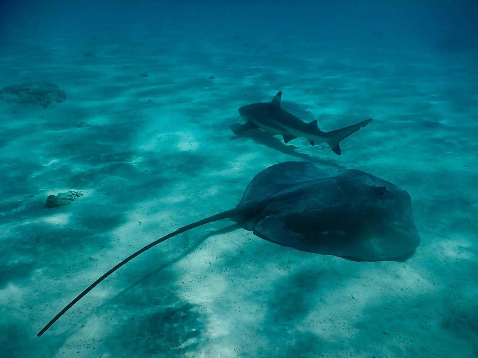 Sea view in Poerani Moorea