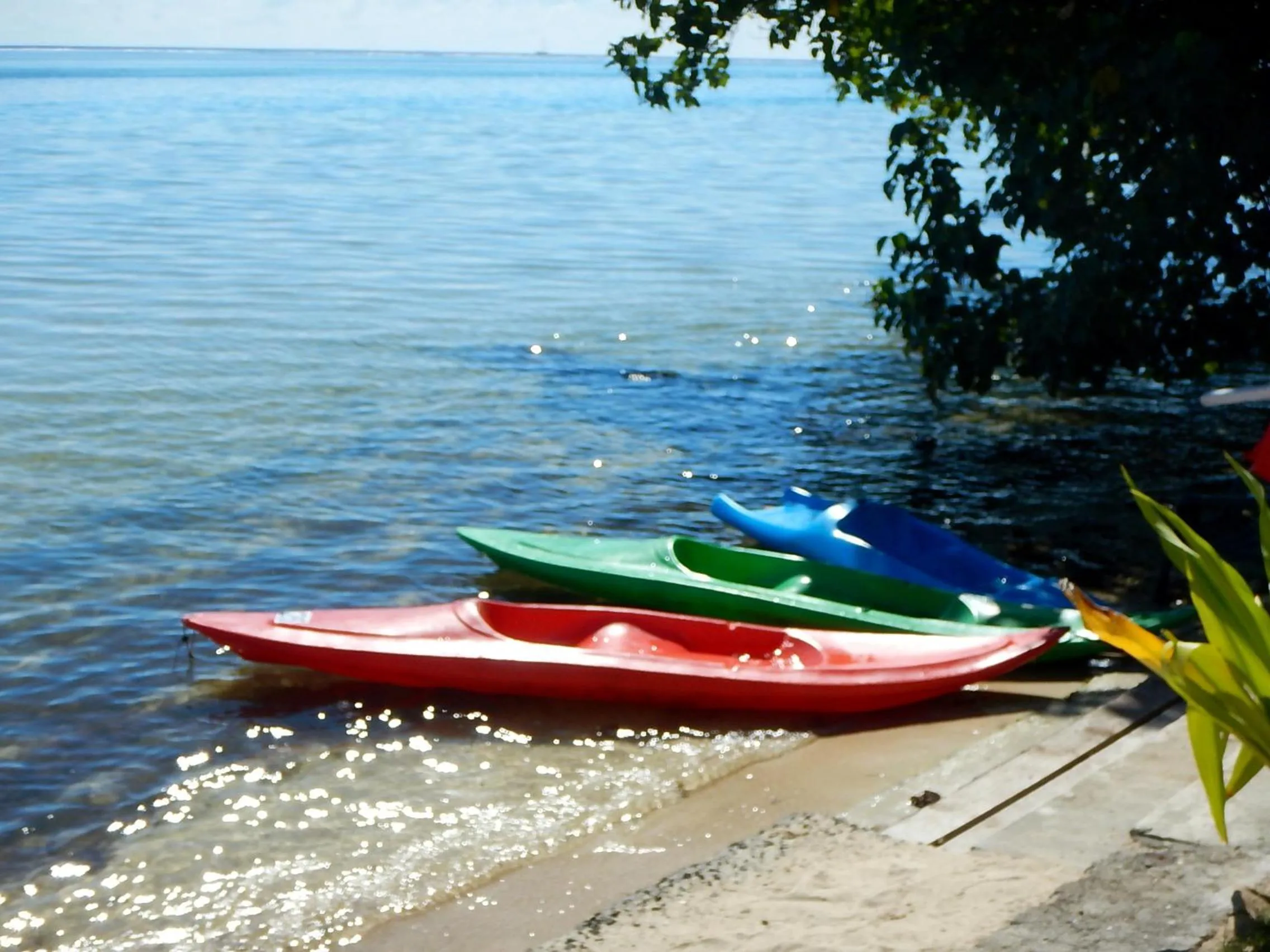 Canoeing in Poerani Moorea