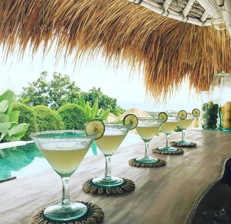 Drinks in Gravity Eco Boutique Hotel - Adults Only