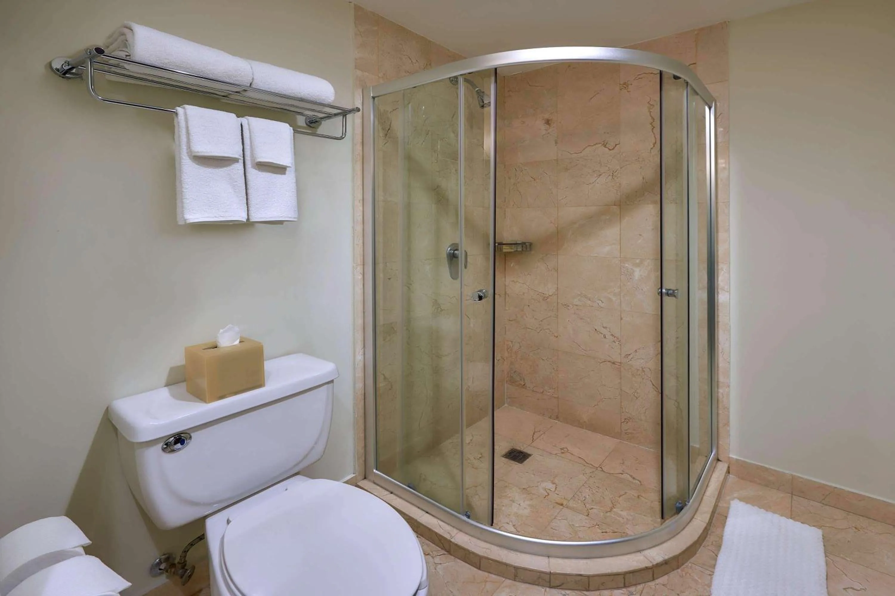 Bedroom in Wyndham Garden Mexico City - Polanco