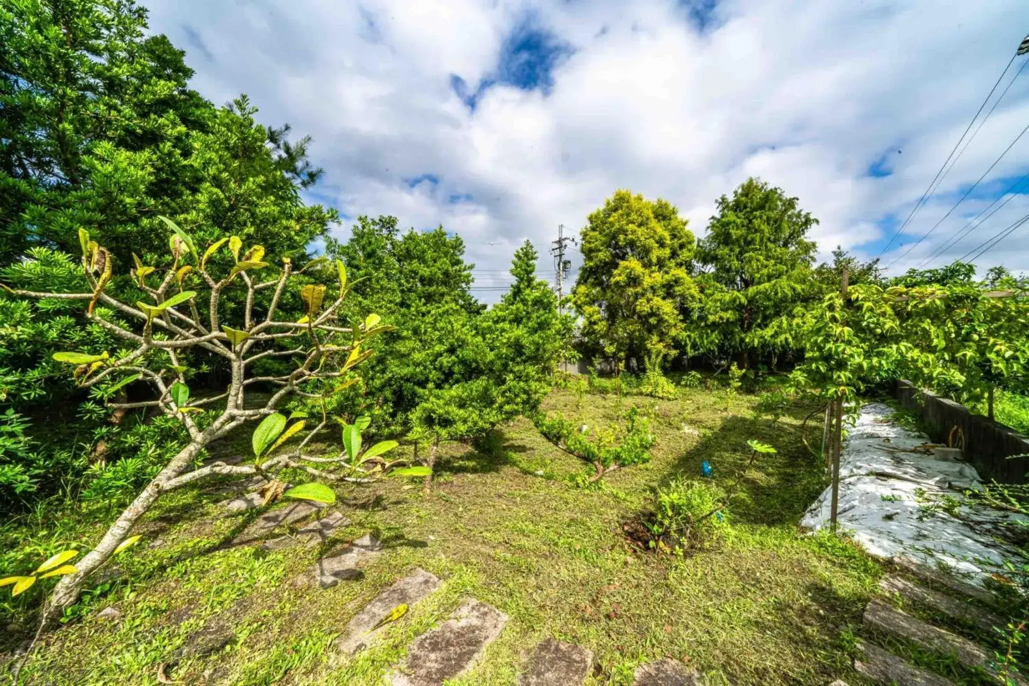 Family Room in My Sweetie B&B Family Room in My Sweetie B&B
