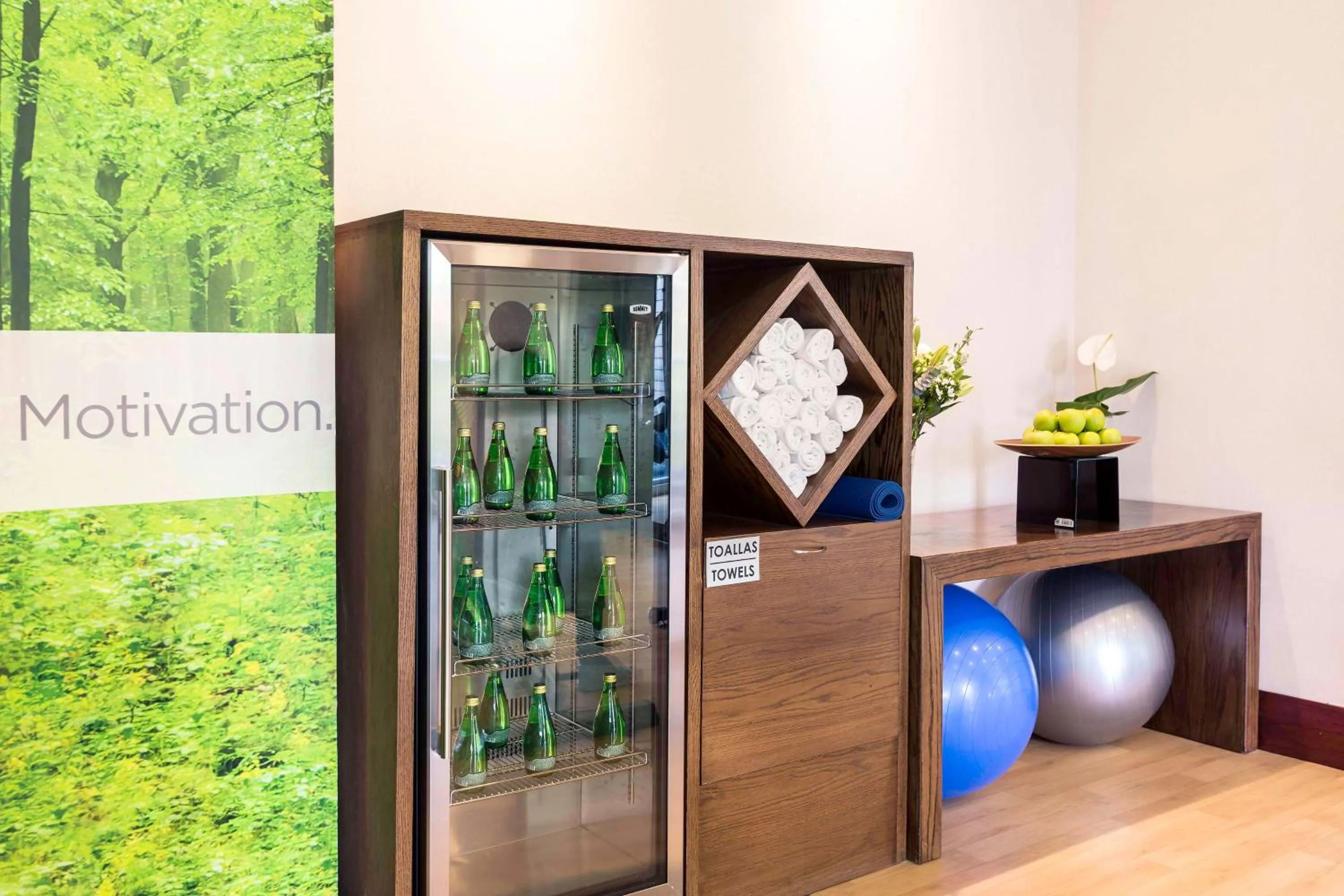 Fitness centre/facilities in NH Collection Guadalajara Providencia