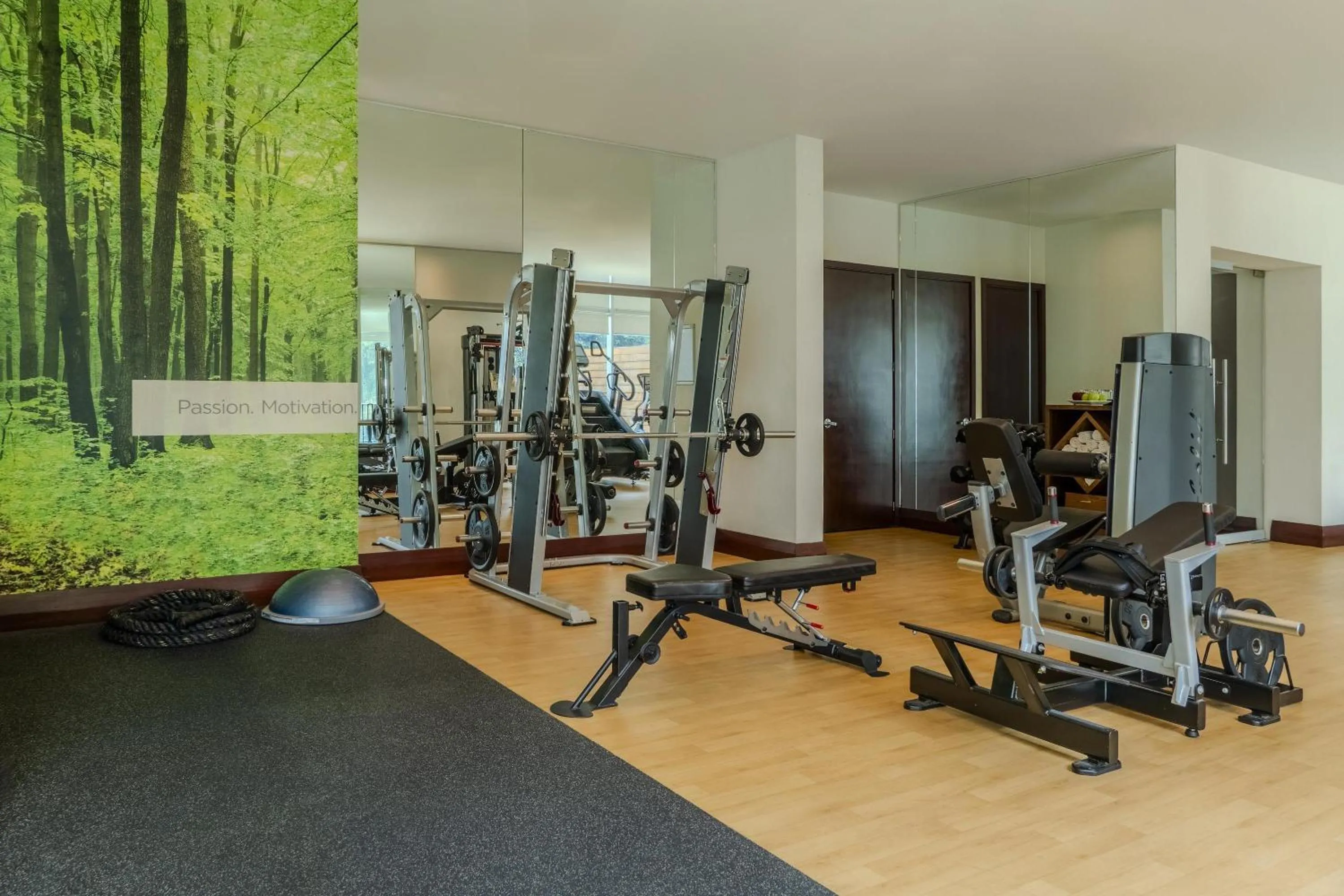 Fitness centre/facilities in NH Collection Guadalajara Providencia