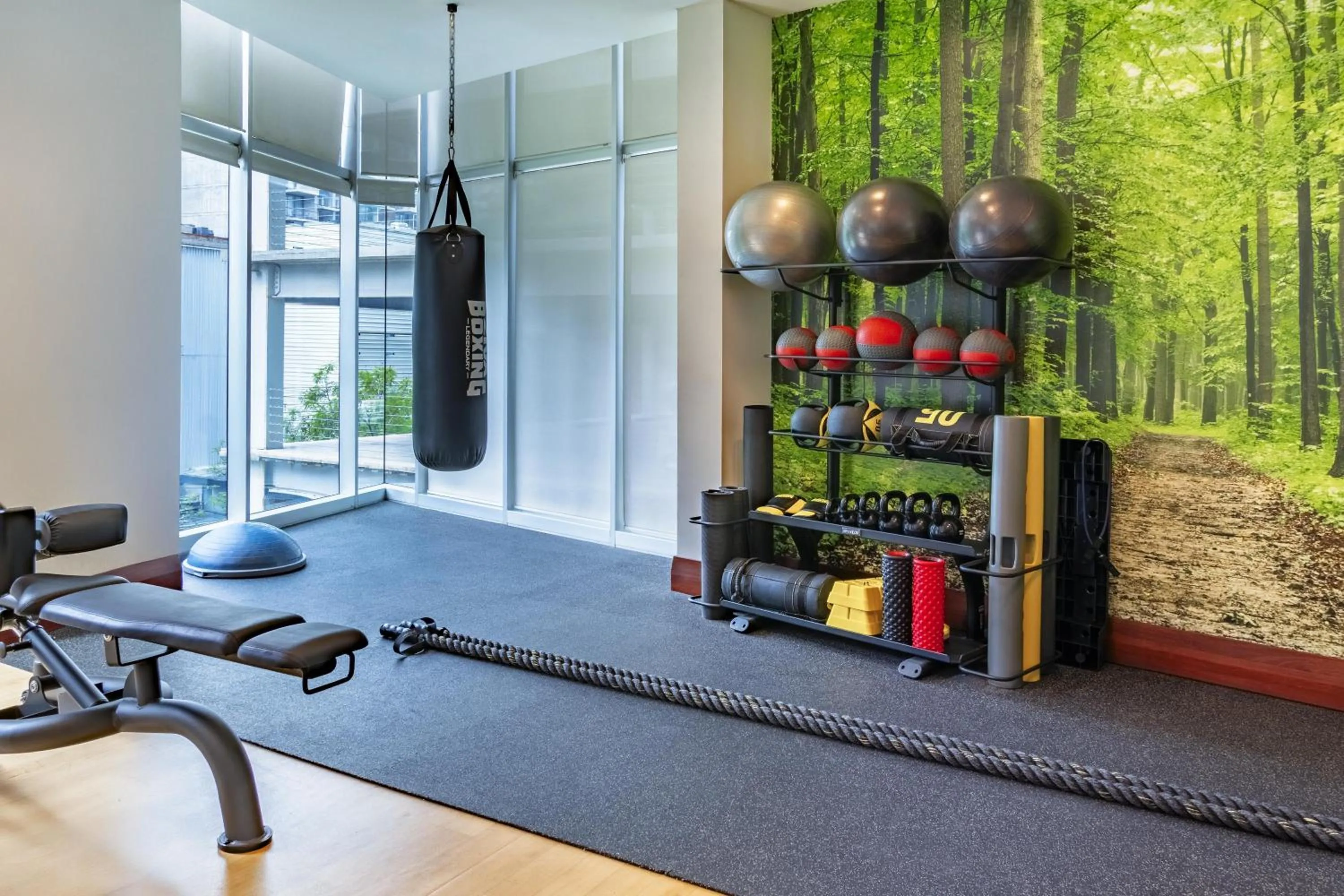 Fitness centre/facilities in NH Collection Guadalajara Providencia