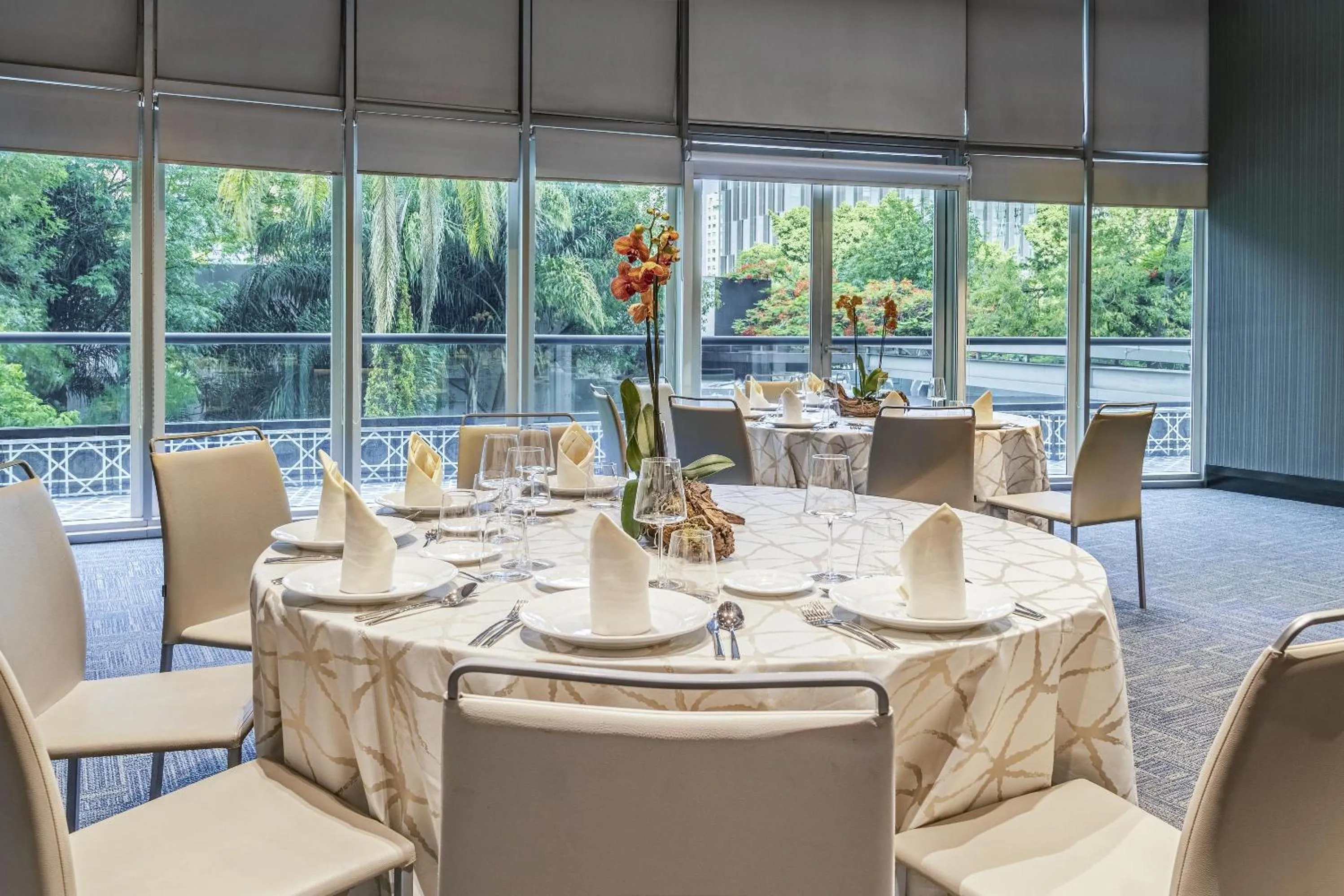 Restaurant/places to eat in NH Collection Guadalajara Providencia