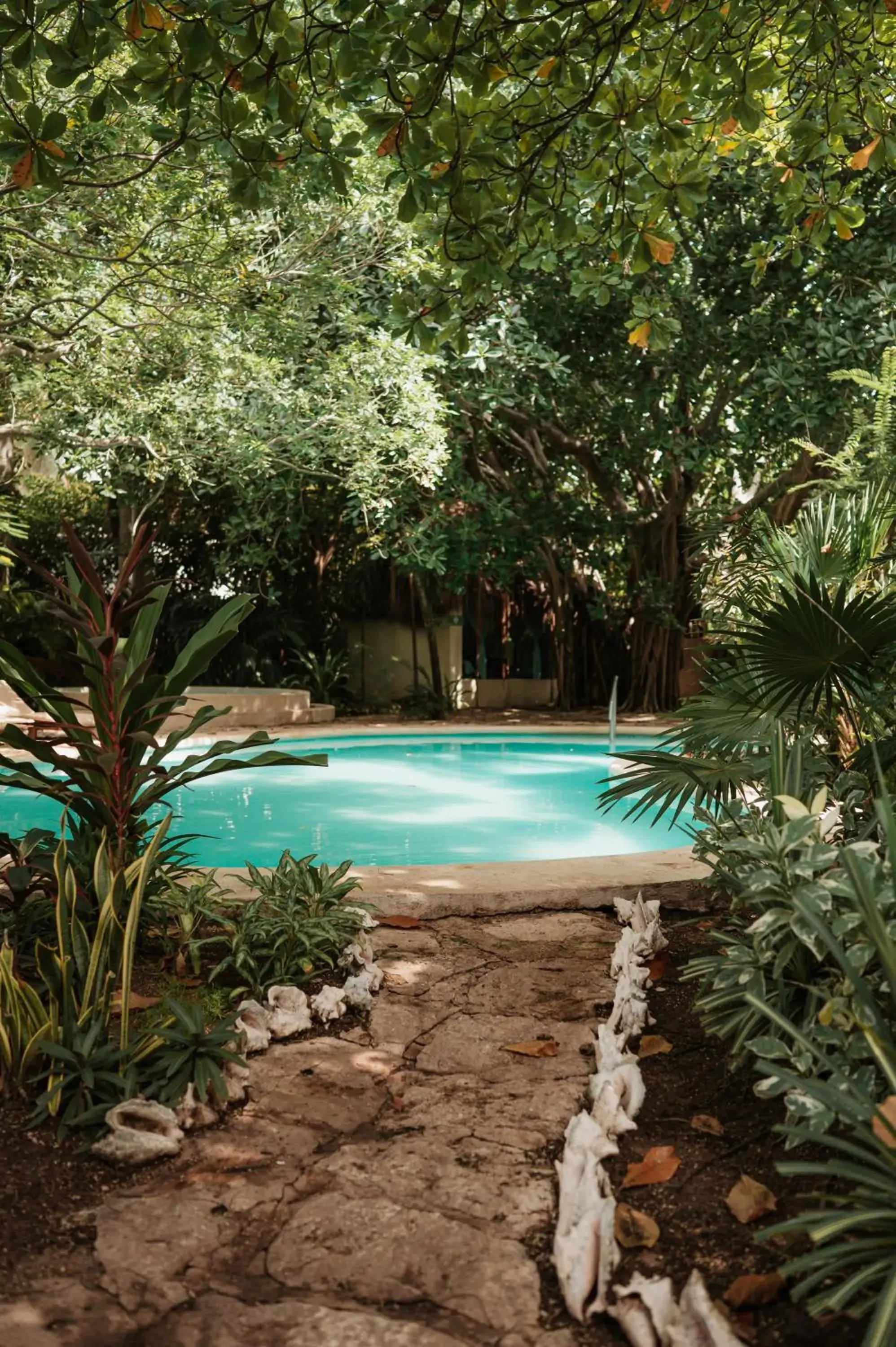 Na Balam Hotel Na Balam Hotel